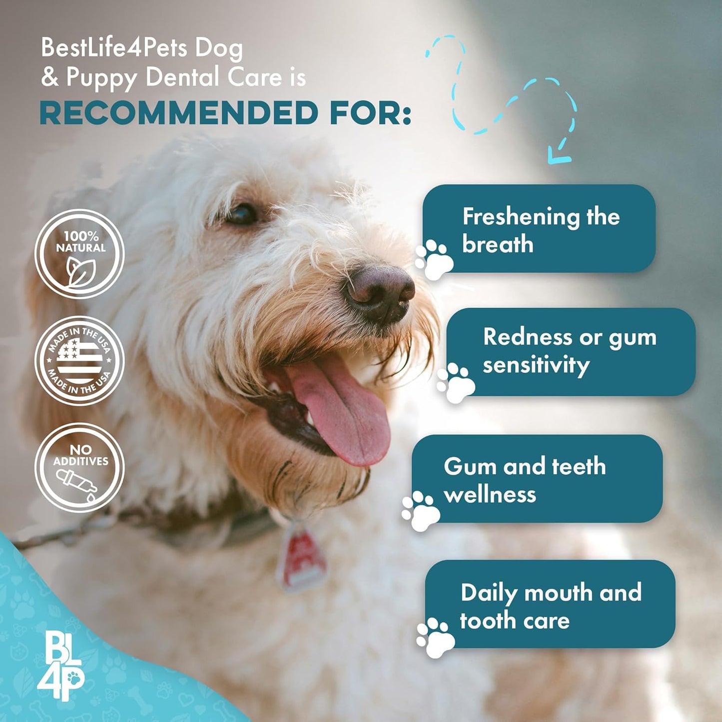 Dog Dental Care & Bad Breath Remedy, Natural Dog Oral Care for Healthy Teeth, Mouth & Gums, Daily Canine Breath Freshener, Plaque, Tartar Control Helps Reduce Gingivitis, Easy to Use 800 Tiny Pills