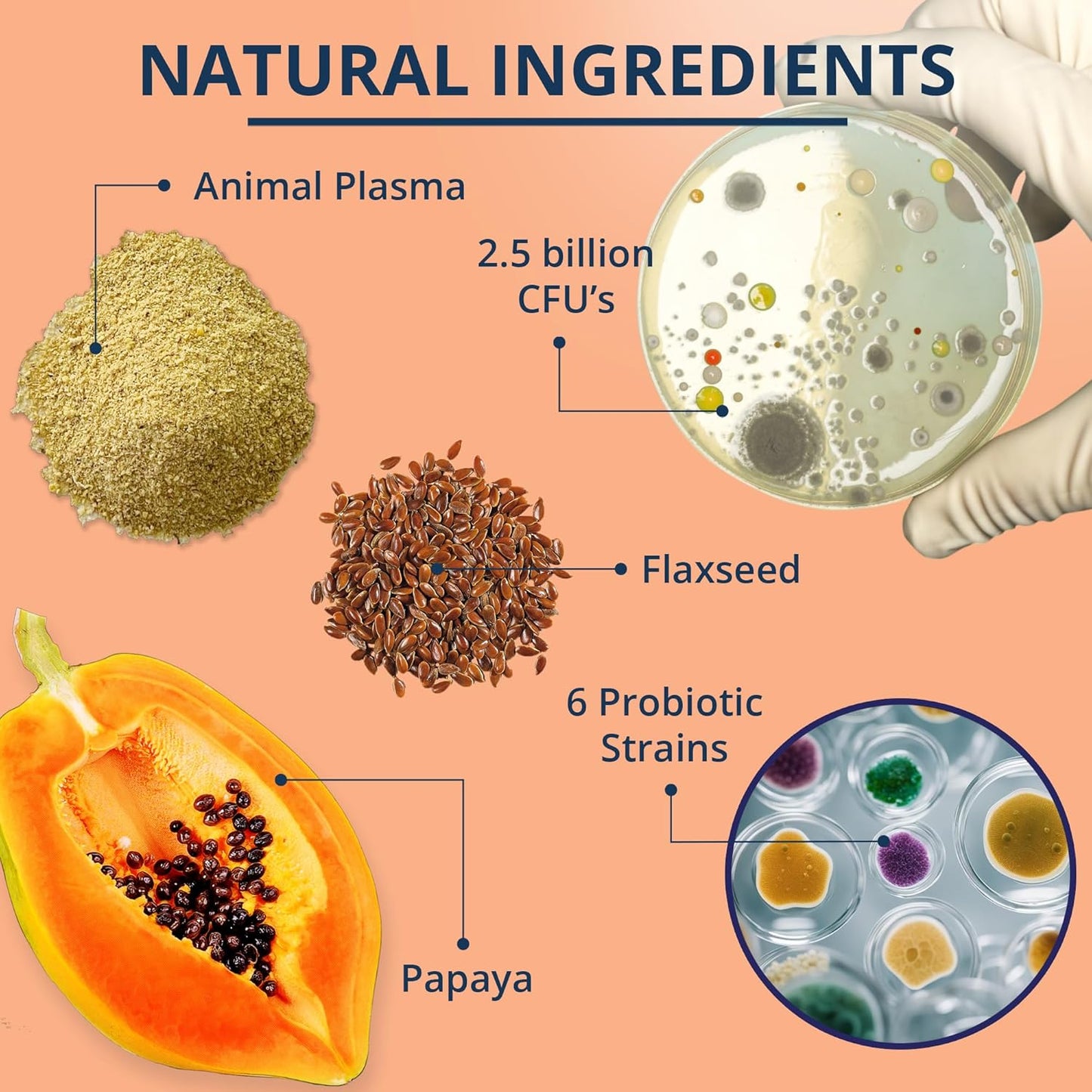 NOVEHA Probiotic Chews for Dogs | Gut Health & Digestive Support | Healthy Skin & Coat | Dog Probiotics for Yeast - Itchy Skin & Itchy Ears | for Dogs with Allergies | 90 Chews (1-Pack)