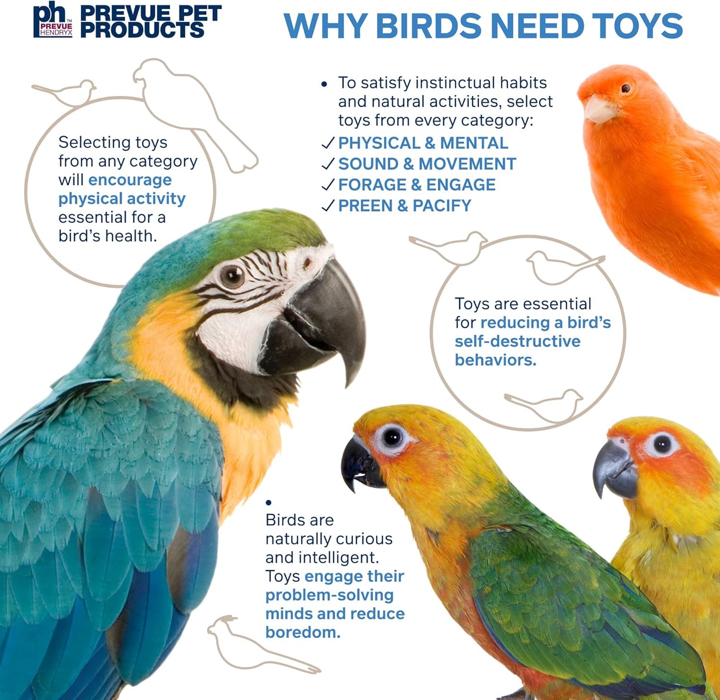 Prevue Pet Products Naturals Physical & Mental Princess Bird Toy 62553