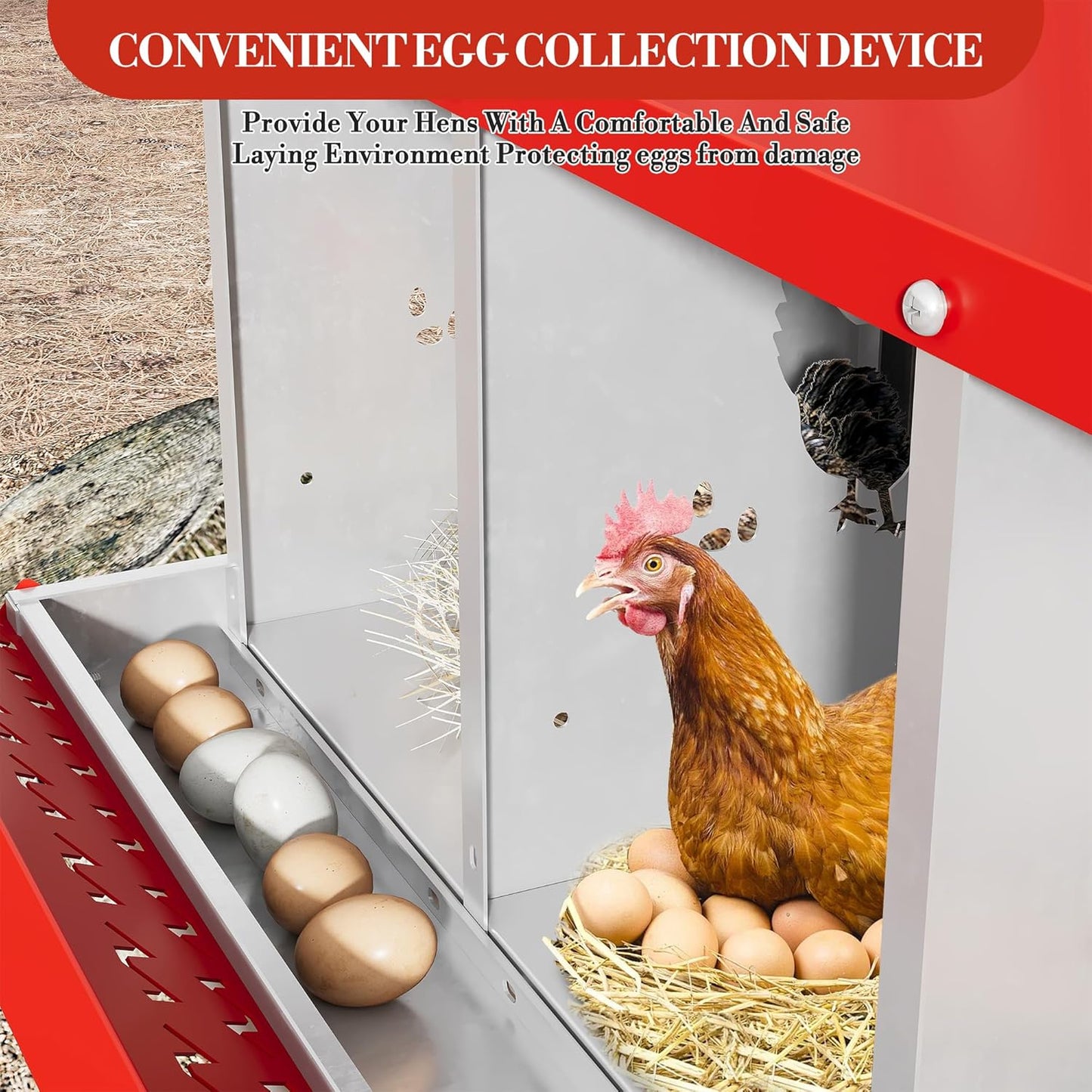 6 Hole Chicken Nesting Box with Roll Out Egg Tray, Rustproof & Ventilated Chicken Laying Boxes for Hens, Chickens, Ducks | Easy-Clean Poultry Coop Accessories