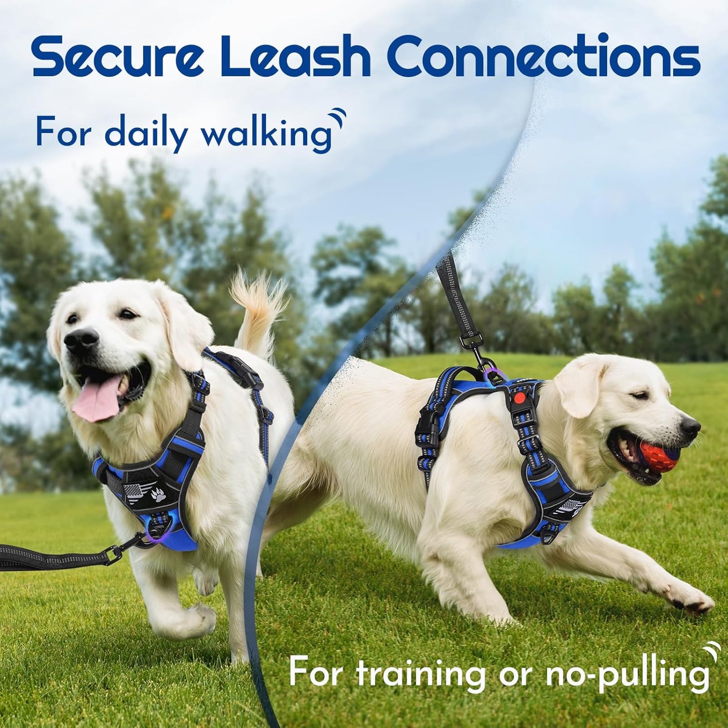 Eagloo Dog Harness Small Sized, Easy Wearing with 3 Buckles, Adjustable No Pull Pet Harness with 2 Rings for Walking, No Chock Reflective Soft Padded Vest with Control Handle, Blue & Black, S