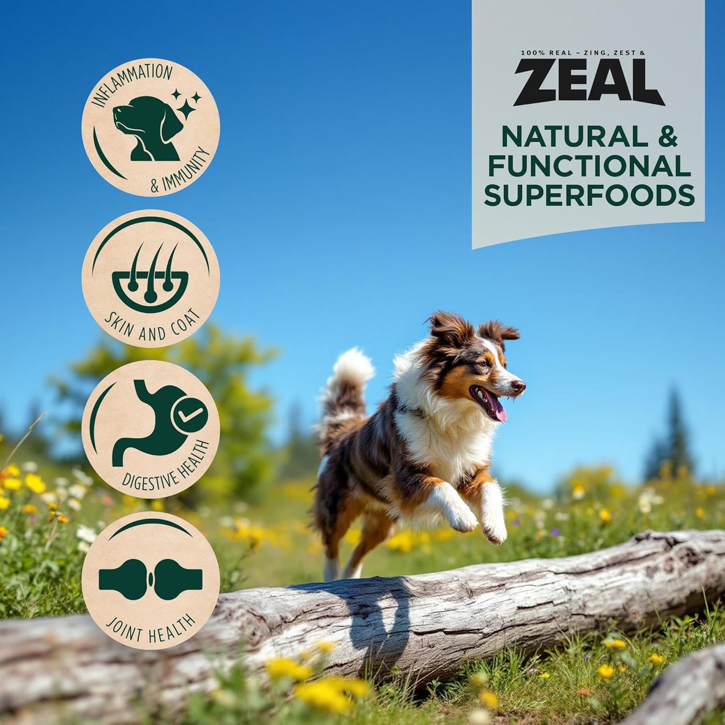 ZEAL Canada Air-Dried Turkey Recipe for Dogs - High Protein, Natural Superfoods, Nutrient Rich, No Fillers, Grain Free, Complete & Balanced (Turkey, 2.2 lb)