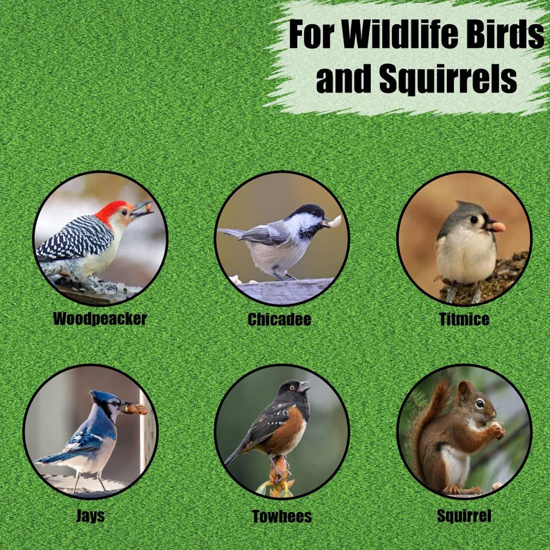 Old Potters Wildlife Shelled Peanuts, 10 lbs for Birds, Squirrels, and Wildlife. USA Grown Non-GMO, Organic Small Farm, Raw Shelled Peanuts. Wildlife Grade.