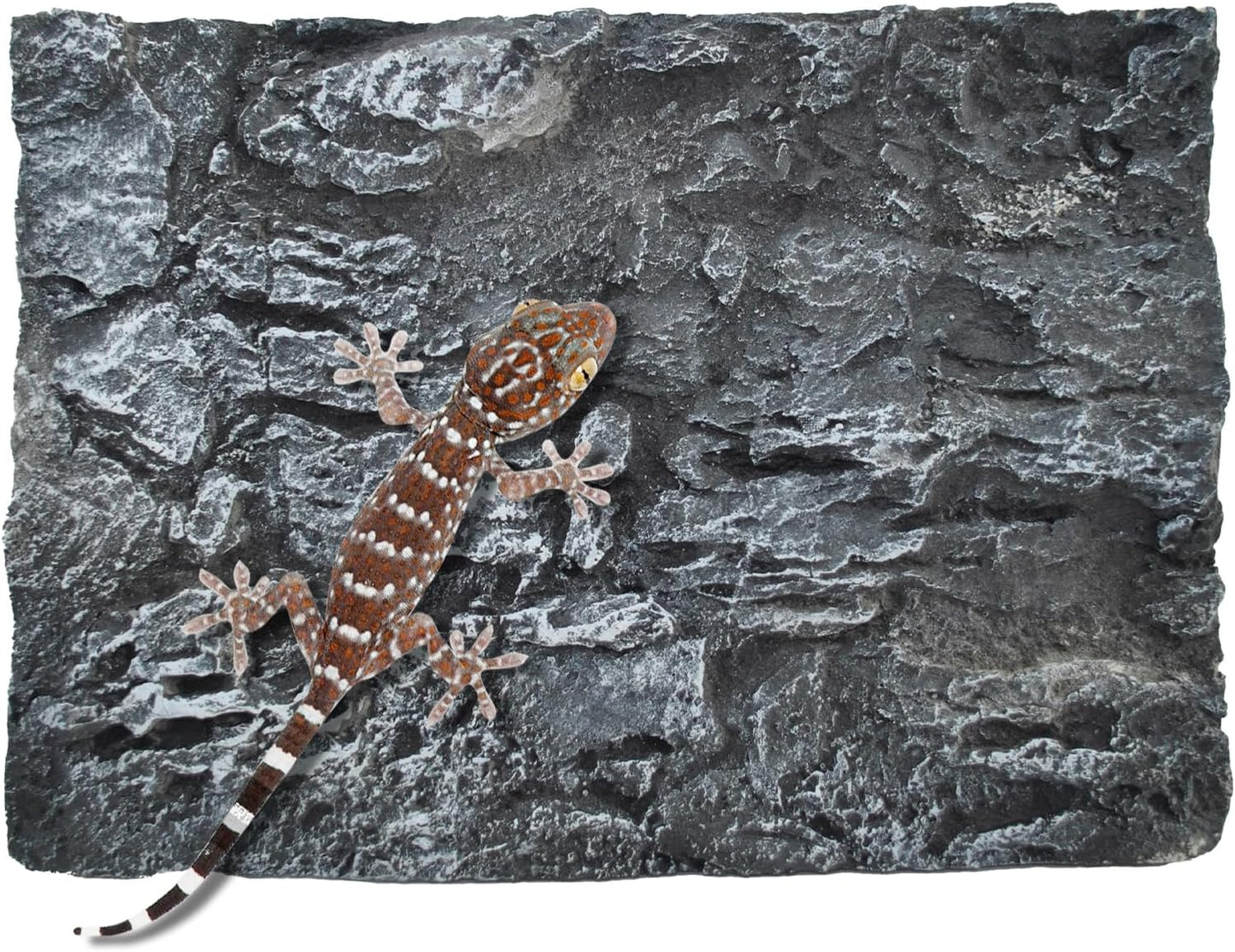 Reptile Tank Background Board Rock Terrarium Cork Background Board 3D Wall Backdrop Aquarium DéCor Backgrounds Amphibian Habitat Decoration for Lizards Leopard Gecko Bearded Dragons Turtle