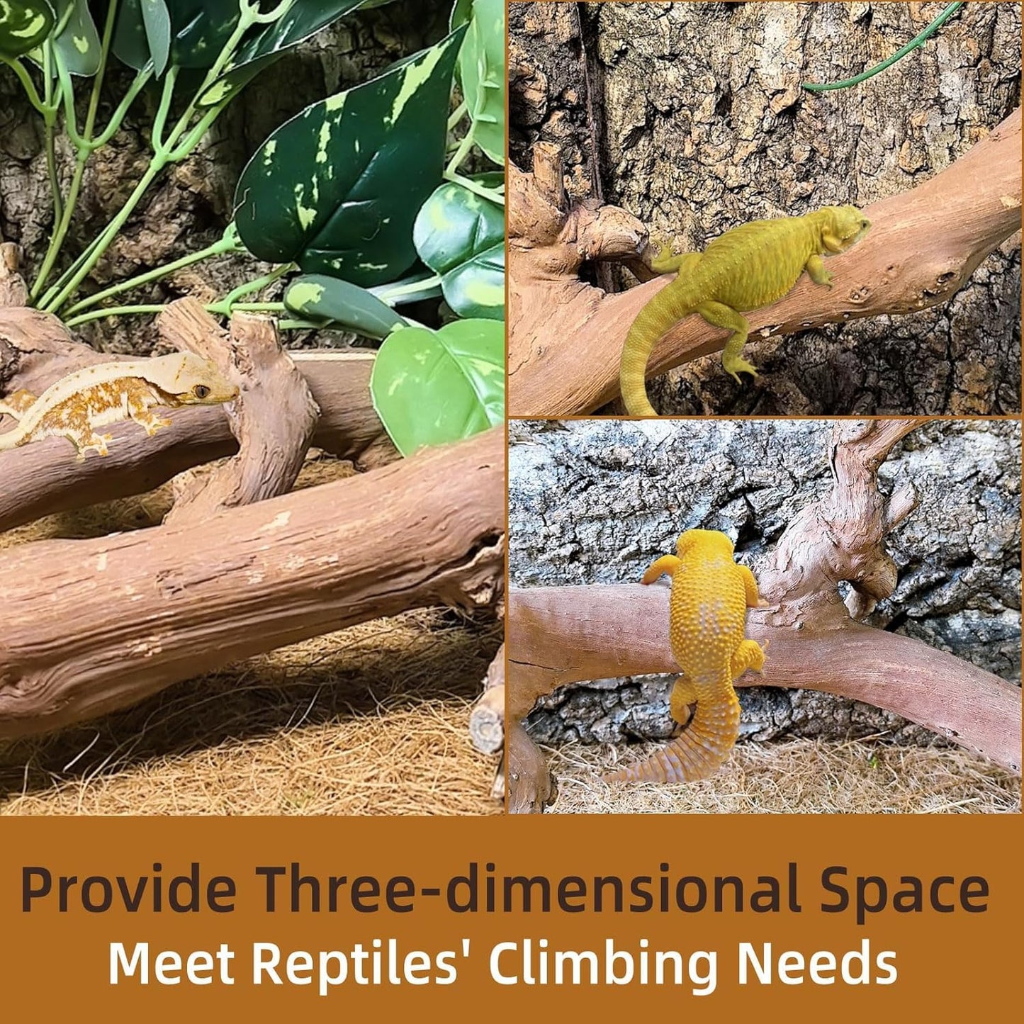 kathson 2PCS Snake Climbing Branch,Reptile Wood Branches Decor, Lizard Natural Wood Climb Accessories,Reptiles Habitat Tank Tree Trunk Decorations for Bearded Dragon Geckos Chameleons Frog