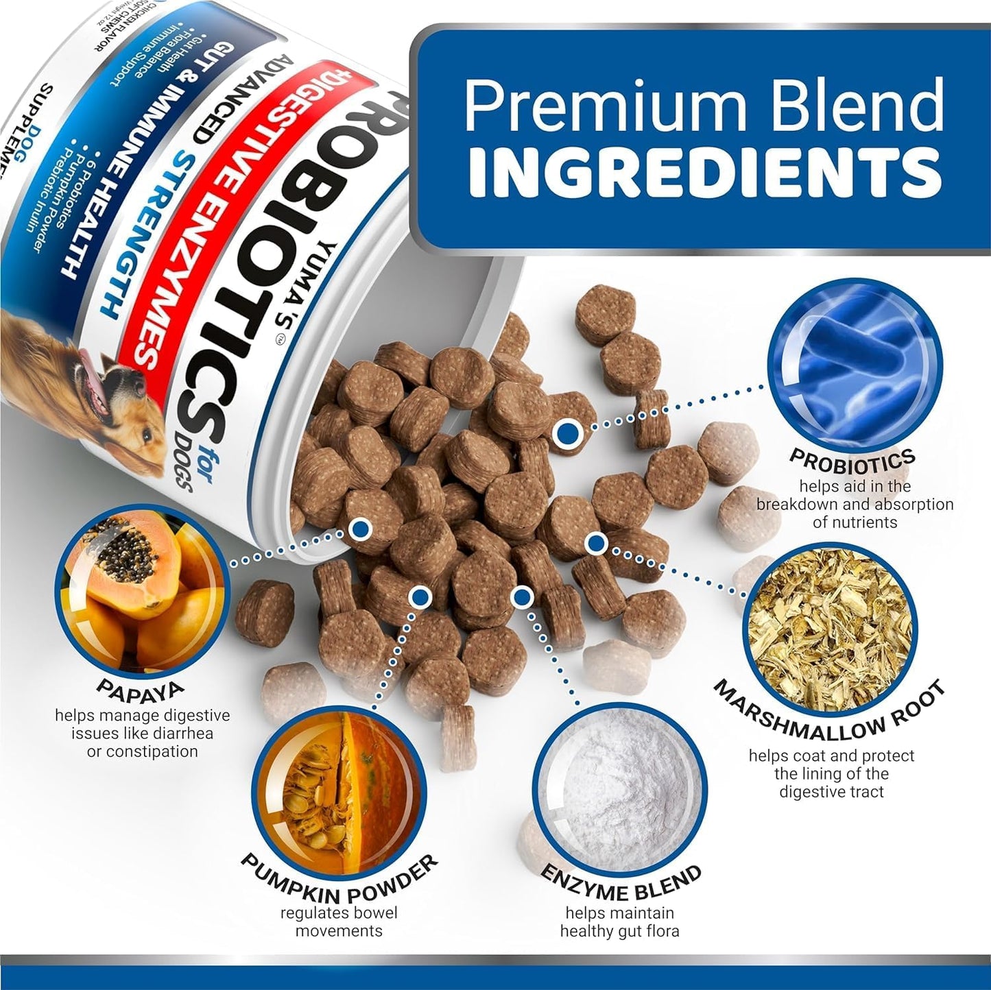 YUMA'S 2 Pack Probiotics for Dogs and Digestive Enzymes - Dog Probiotics Chews - Dog Probiotic - Anti Diarrhea, Upset Stomach & Gas Relief, Constipation, Canine Prebiotic - Pet Fiber Supplement