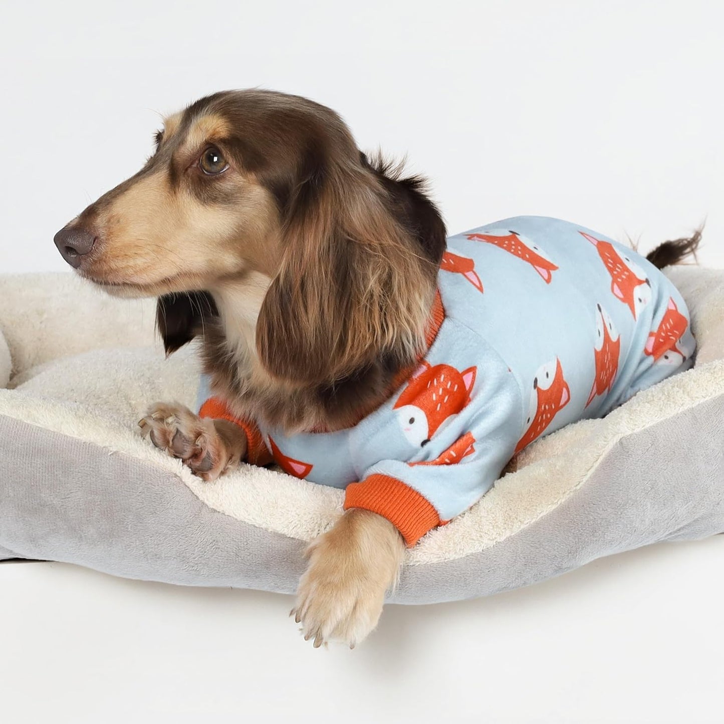 Fitwarm Funny Fox Dog Pajamas, Warm Dog Onesie, Dog Clothes for Small Dogs Girl Boy, Lightweight Velvet, Pet Outfit, Gray, Orange, Medium