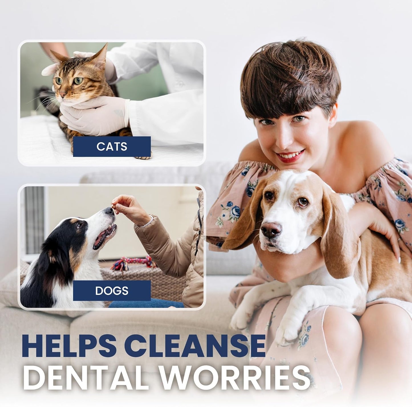 Rad Health Water Additive – Dog Dental Water Additive for Fresh Breath, Plaque & Tartar Control, Easy Mouthwash for Dogs & Cats, 330ml Formula Supports Daily Oral Hygiene, No Brushing Needed