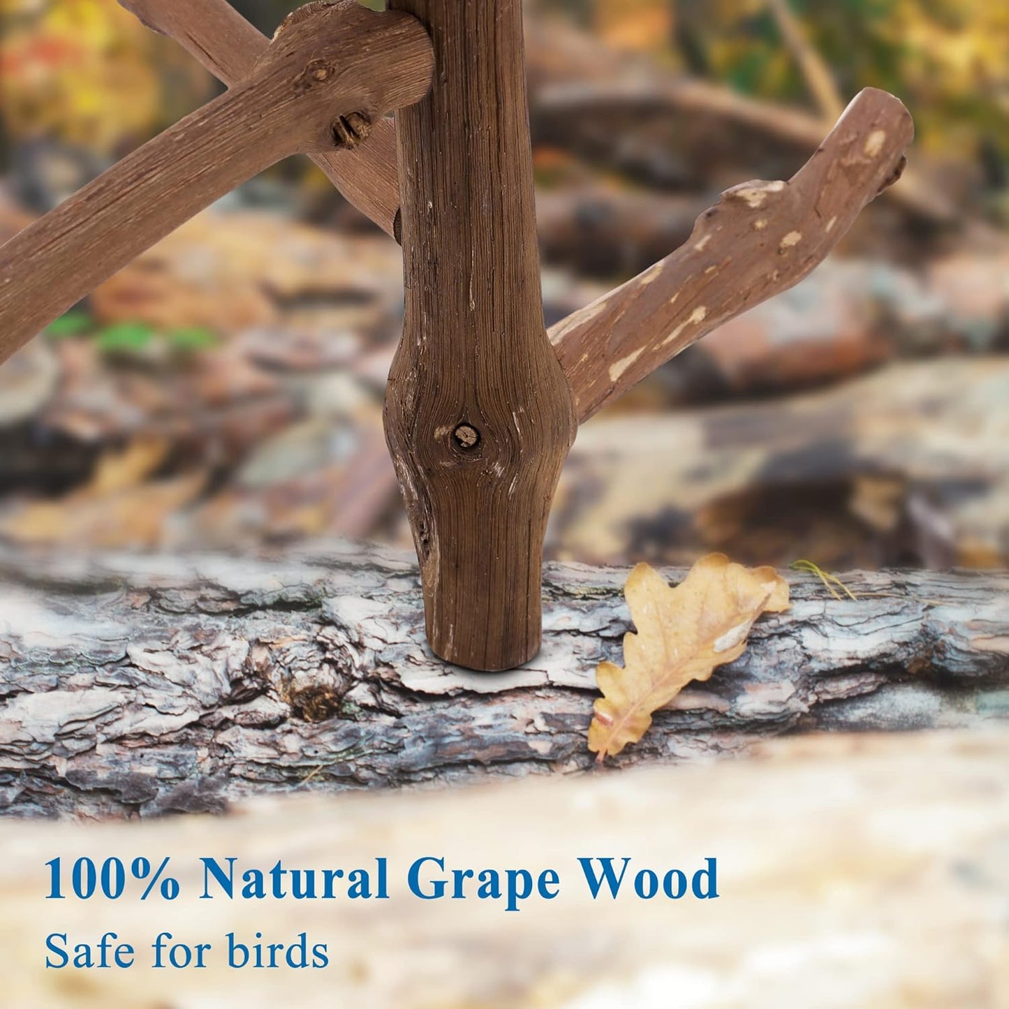 CozyCabin Natural Bird Perch Stand, Hanging Multi Branch Grapevine Parrot Perch Bird Cage Toys for Small Budgies Conure Parrot Parakeets Cockatiels Lovebirds (Branch)