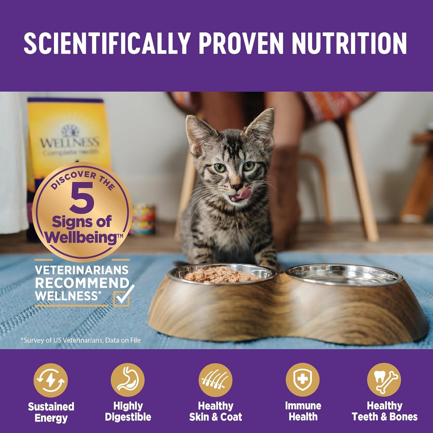Wellness Complete Health Minced Adult Wet Cat Food, Natural, Protein-Rich, Grain Free, 5.5 Ounce, 24 Pack, (Chicken Entrée)