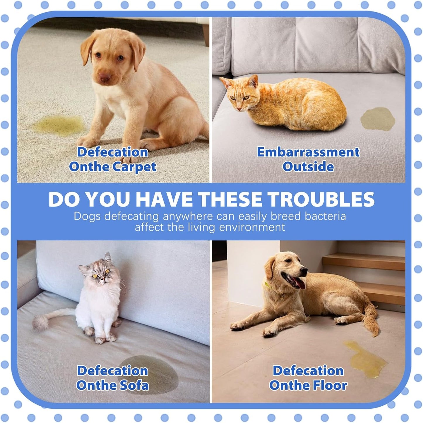 Potty Training Spray for Dogs,Puppy Potty Training Spray,Correct The Dog's Bad Defecation Behavior and Help You Train Your Dog to Go to The Toilet in The Right Place-100M