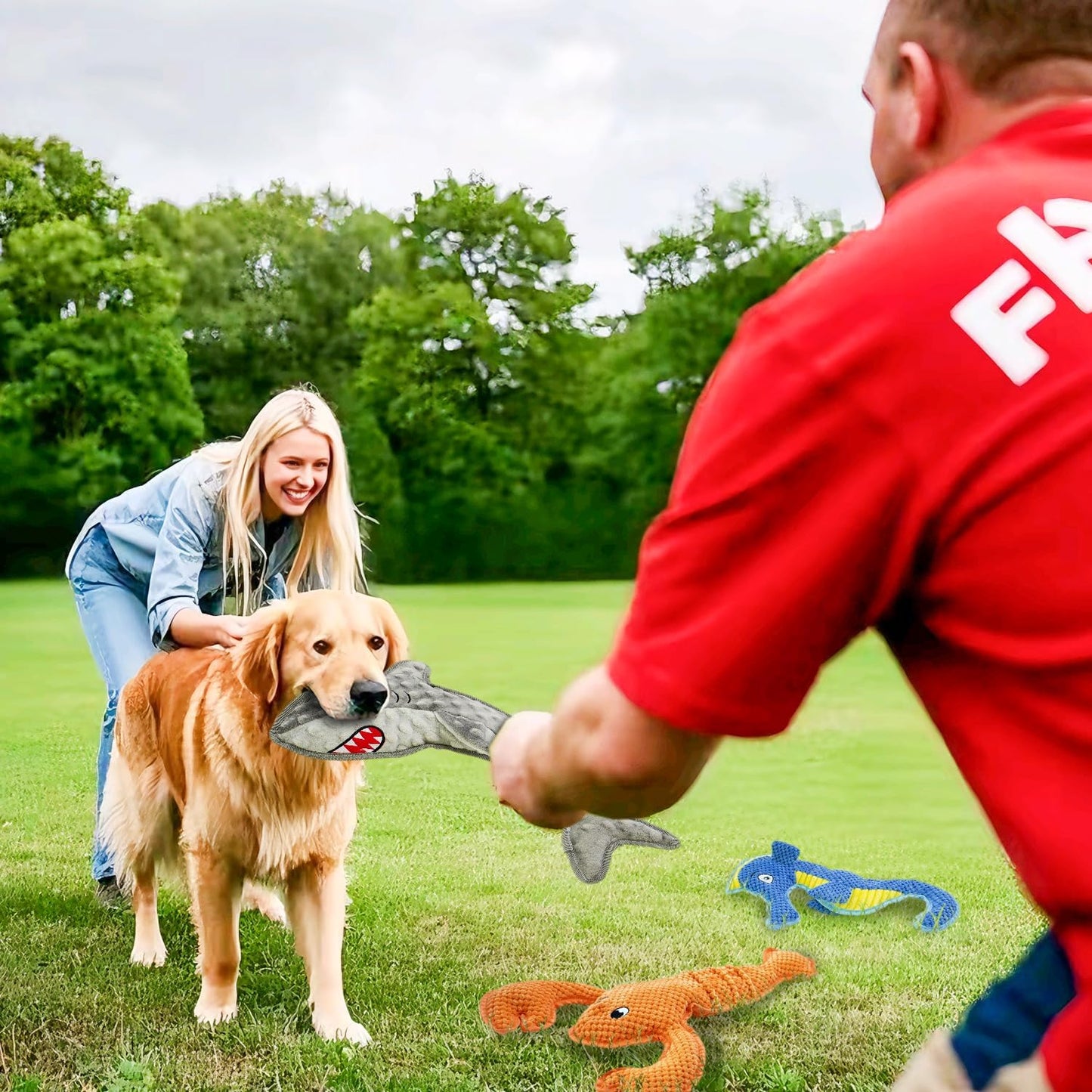 Dog Toy Squeak No Stuffing Toys, 4-Pack Toys for Small Medium Large Breed, Puppy Teething Interactive Toy to Keep Them Busy, Best Christmas Birthday Gift