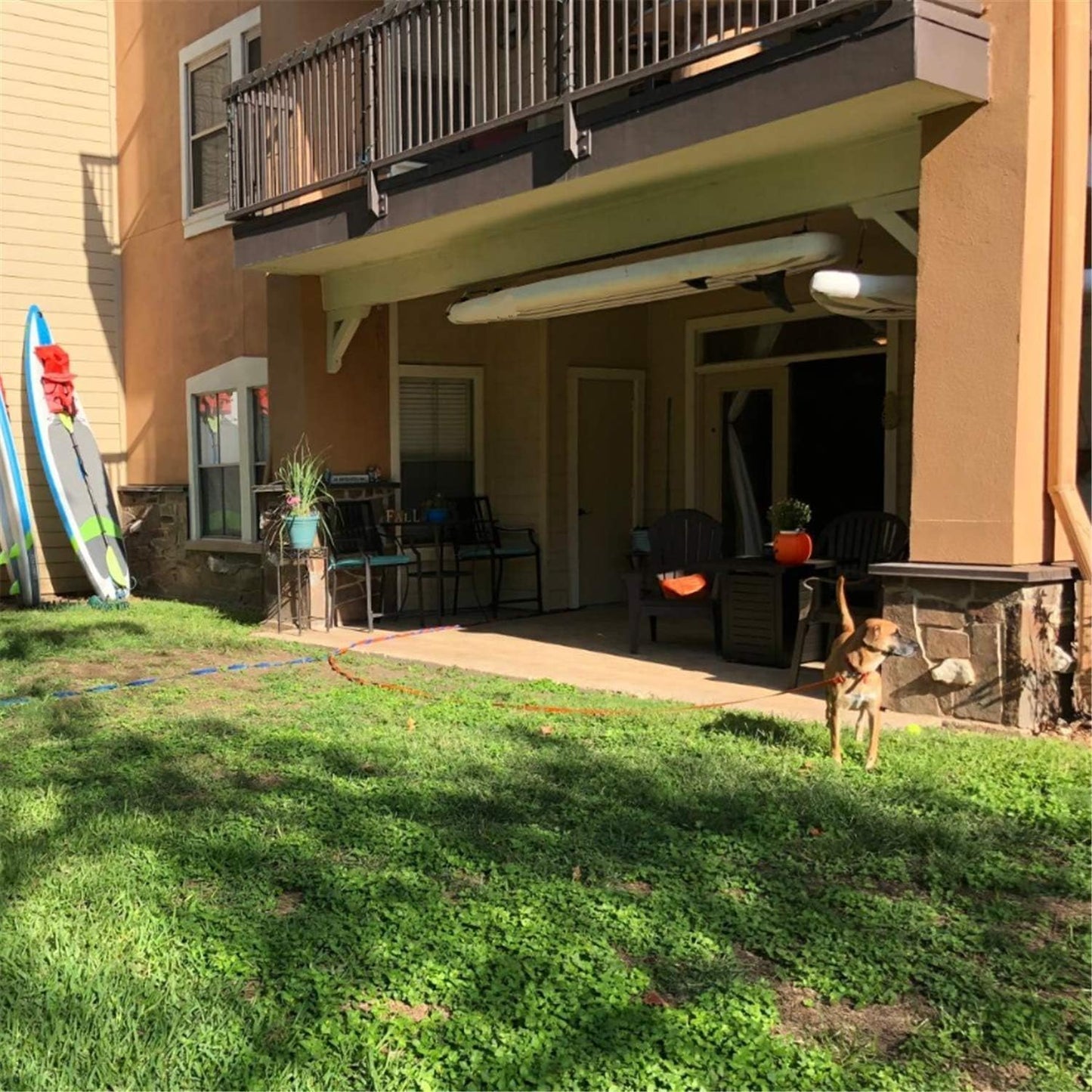 Dog/Puppy Obedience Recall Training Agility Lead - 15ft 20ft 30ft 40ft 50ft Training Leash - Great for Play, Camping, or Backyard - Mint Blue 50ft (Mint Blue, 50 Feet)