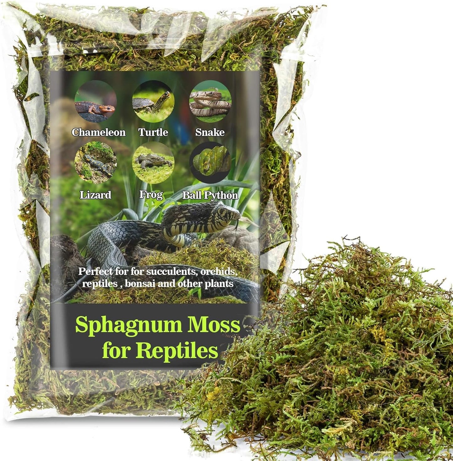 Sukh Sphagnum Moss for Reptiles -Terrarium Moss for Reptiles Peat Moss for Reptiles Habitat Bedding Moss for Snakes Turtle Frog Gecko and Other Reptiles Substrate (11.2, Ounces)