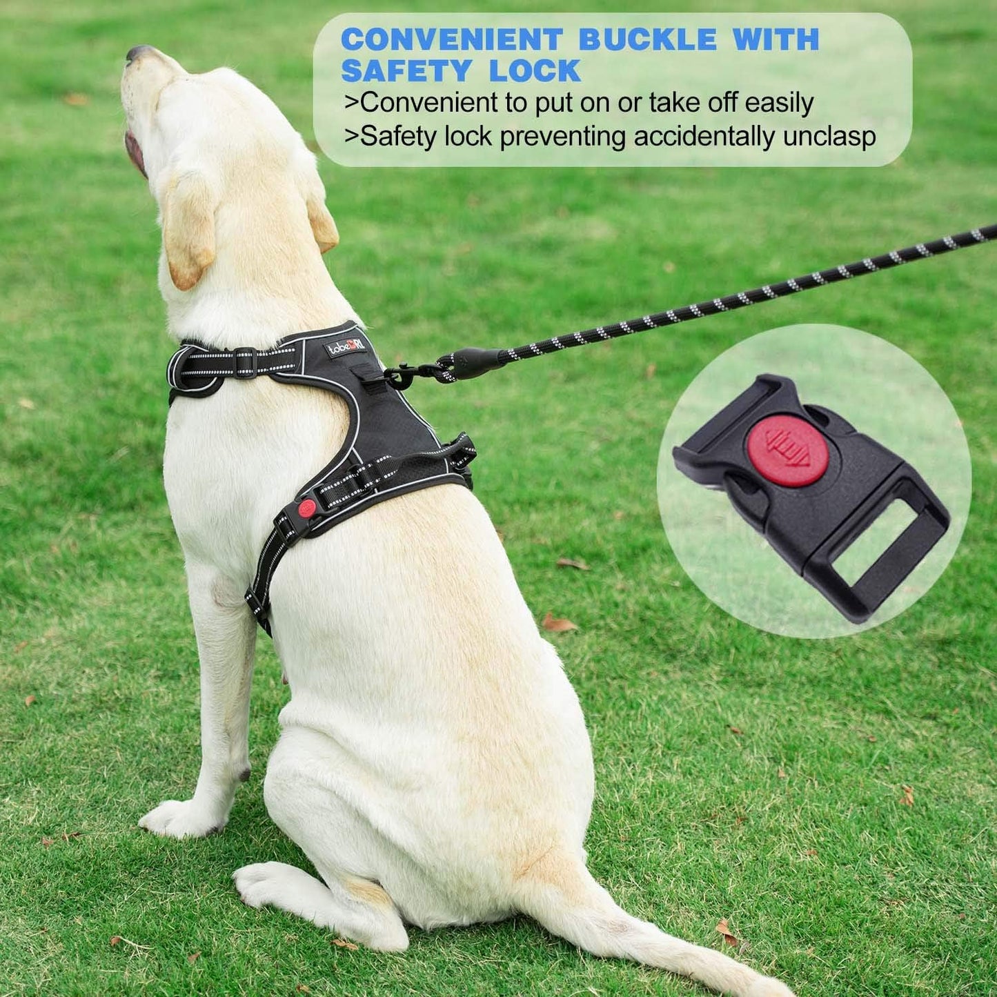 No Pull Dog Harness Adjustable Reflective Oxford Easy Control Medium Large Dog Harness with A Free Heavy Duty 5ft Dog Leash (M (Neck: 14.5"-20.5", Chest: 22"-28"), Blue Harness+Leash)