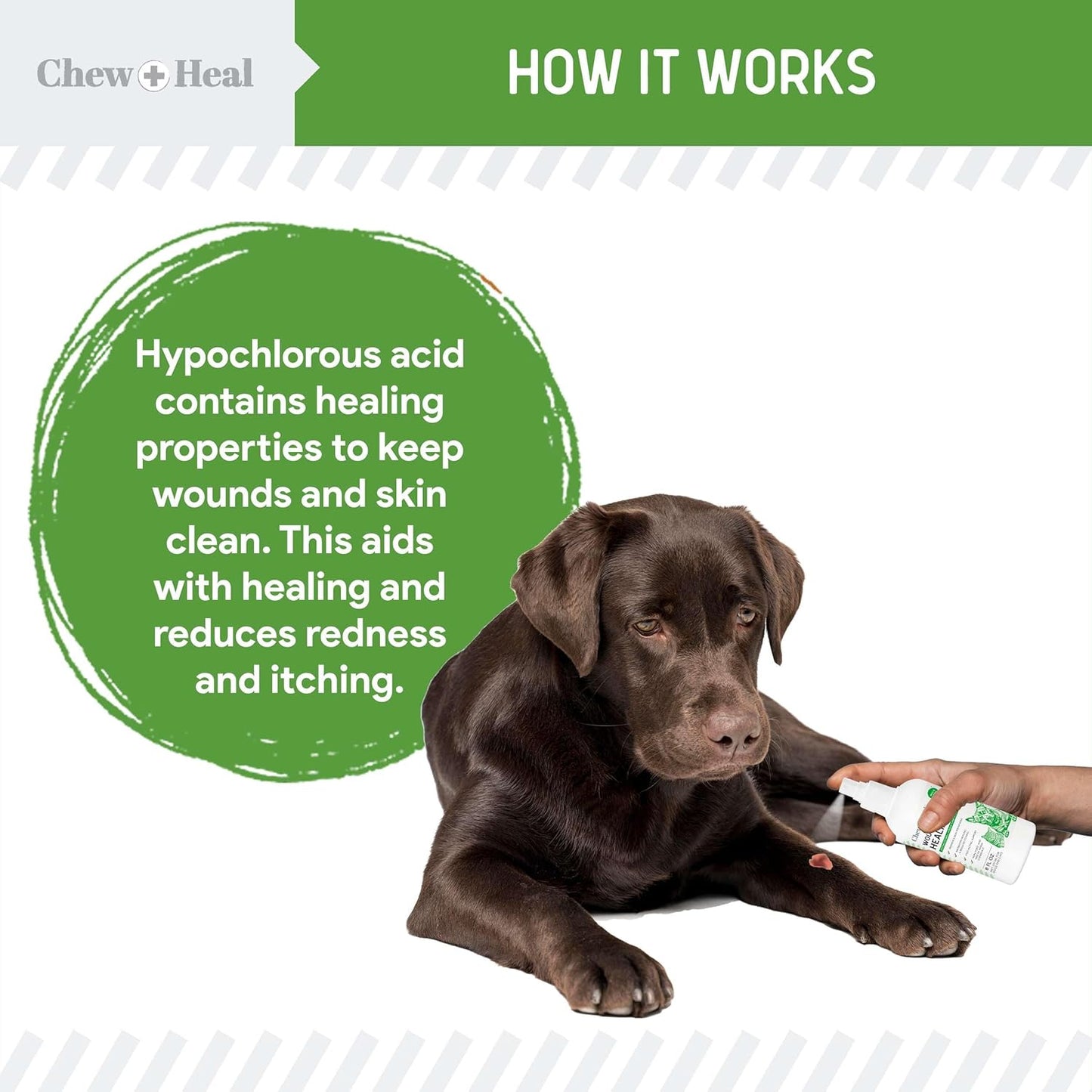 Hypochlorous Acid Spray for Dogs – 8oz Dog Wound Spray for Cuts, Burns, Sores, Abrasions, and More – Non Toxic and Chemical Free HOCI Wound Care – Made in The USA