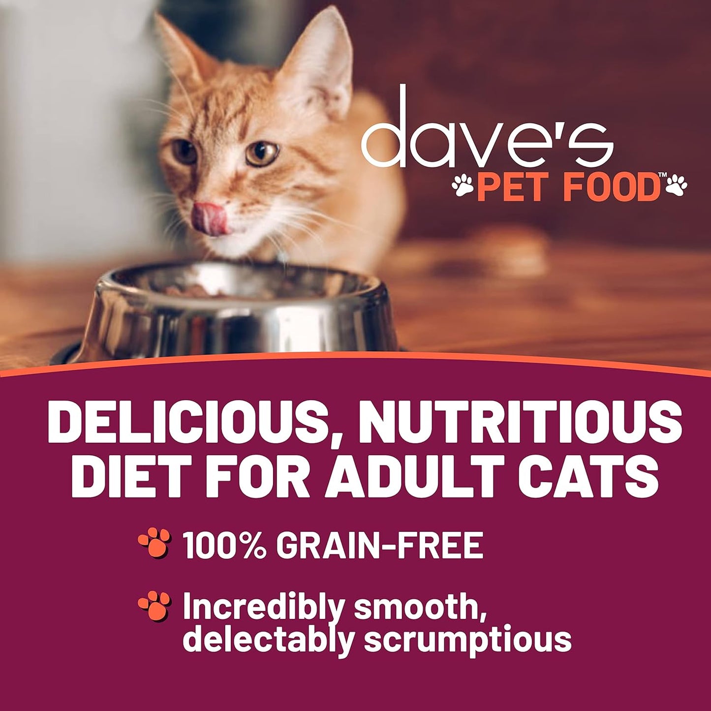 Dave's Pet Food Grain Free Wet Cat Food Pate (Chicken & Duck Dinner), Made in Canada Naturally Healthy Canned, Added Vitamins & Minerals, 5.5 oz Cans (24 Pack)