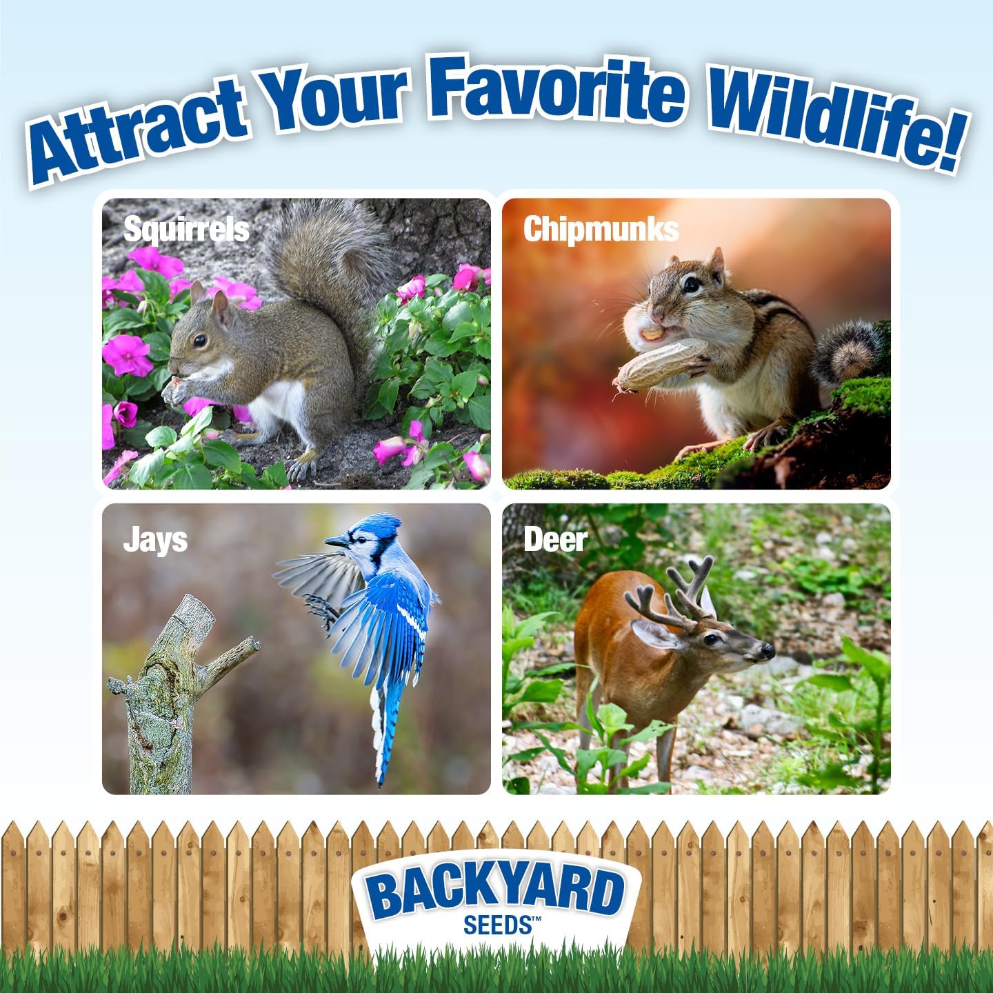 Backyard Seeds Squirrel and Friends Wildlife Feed – Non-GMO Mix for Squirrels, Deer, Birds, Rabbits, Chipmunks & More – All-Natural Backyard Animal Food (40 Pounds)