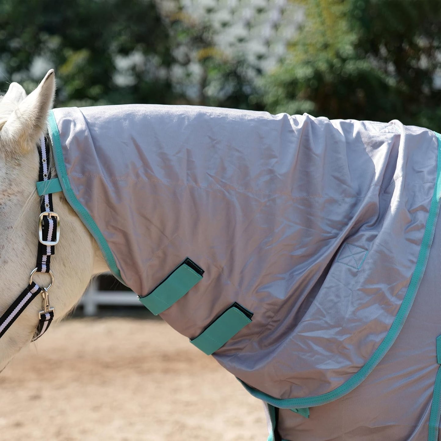 Horse Fly Sheet with Detachable Neck Cover & Belly Wrap, Adjustable Fly Sheet for Horses, Ventilated Airflow Mesh Equine Cooling Summer Flysheet Grey 81