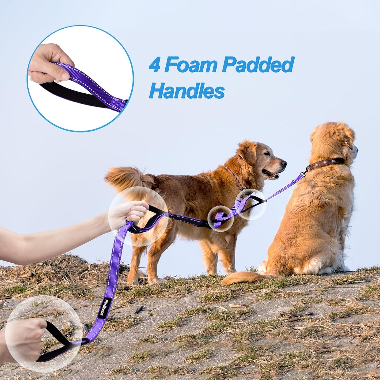 PetBonus Double Dog Leash, No Tangle Dual Leash, Reflective Walking Training Lead, 4 Comfortable Padded Handles for 2 Dogs with Collapsible Bowl and Waste Bags (Purple, Large)
