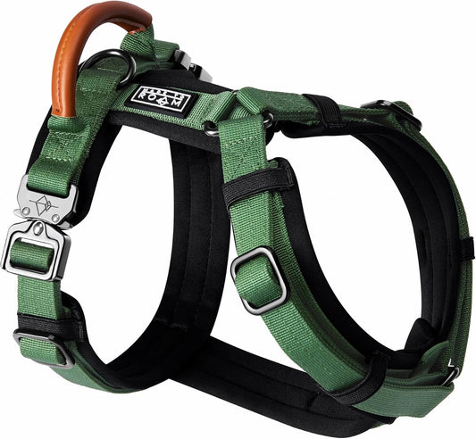 MADE TO ROAM Premium Explorer Harness - Y-Shaped Dog Harness with Adjustable Durable Nylon, Soft Padding, Metal Buckles and Leather Handle for Small, Medium, Large Dogs (Oregon Haze, Size 2)