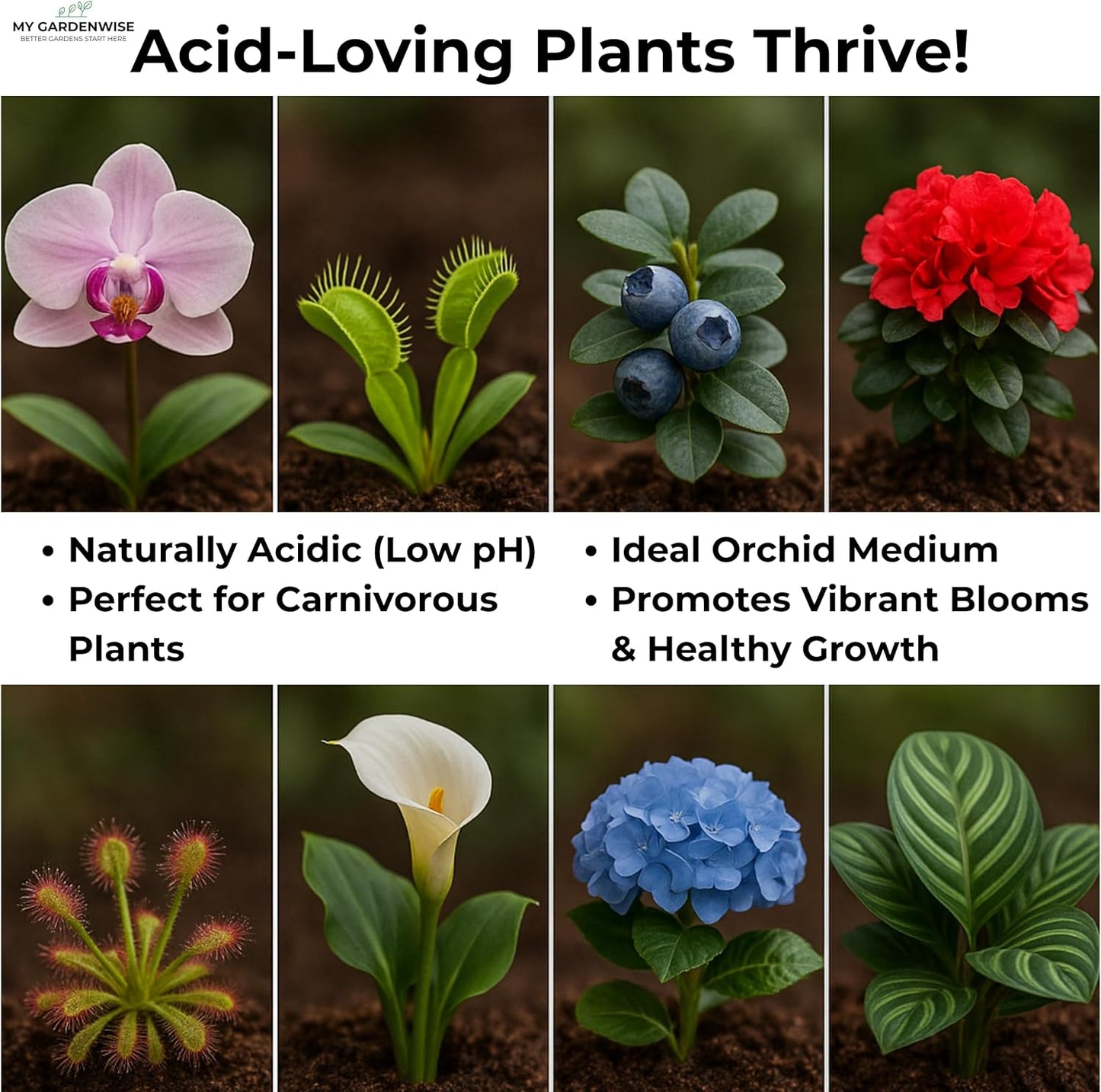 Peat Moss for Plants – Organic Sphagnum Peat Moss for Orchids, Terrariums, Seed Starting, Reptiles & Potting Soil Mix (20 quarts)