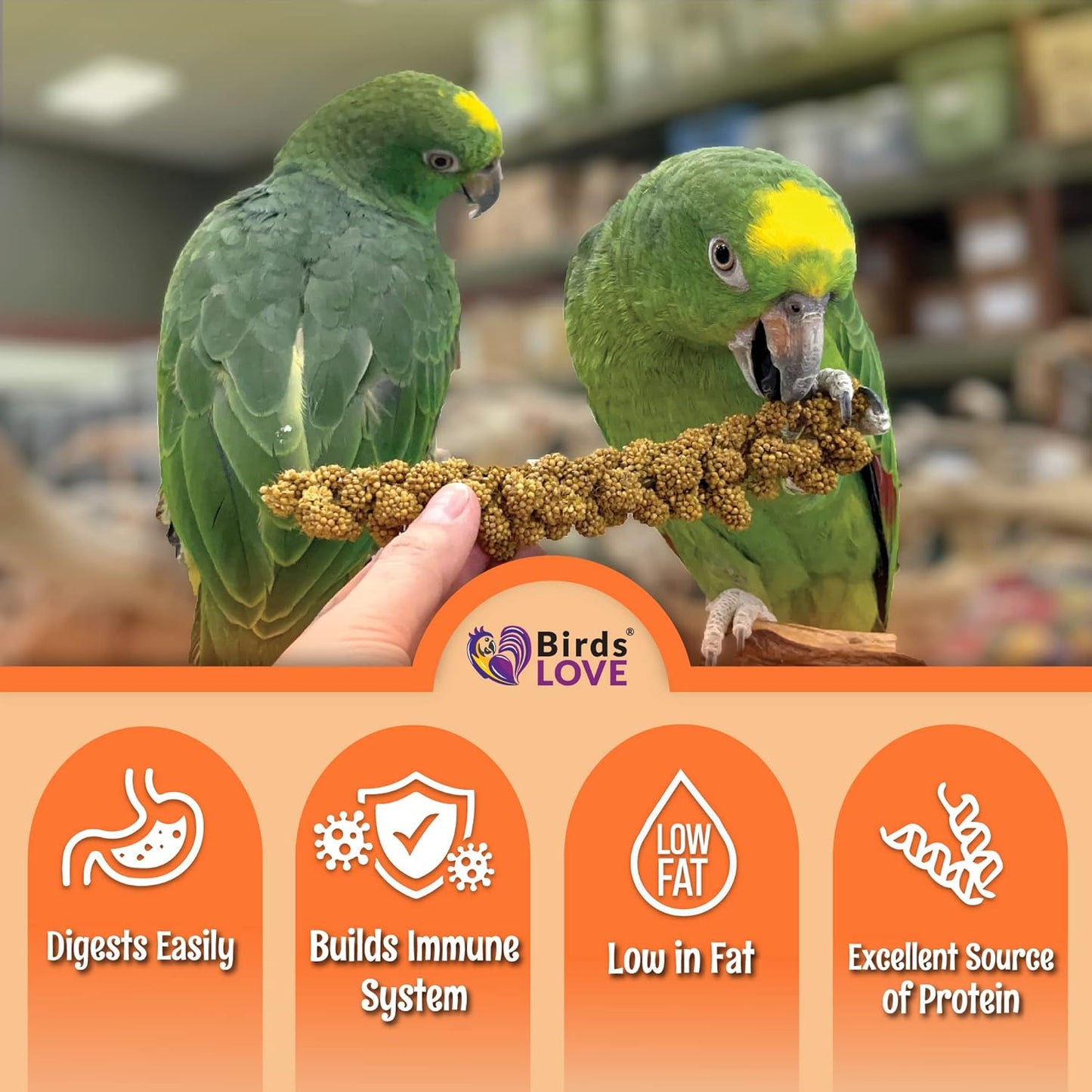 Birds LOVE Spray Millet – 1 lb GMO-Free, No Stems (Edible Tops Only) – Healthy Treat for Cockatiels, Lovebirds, Parakeets, Finches & Canaries