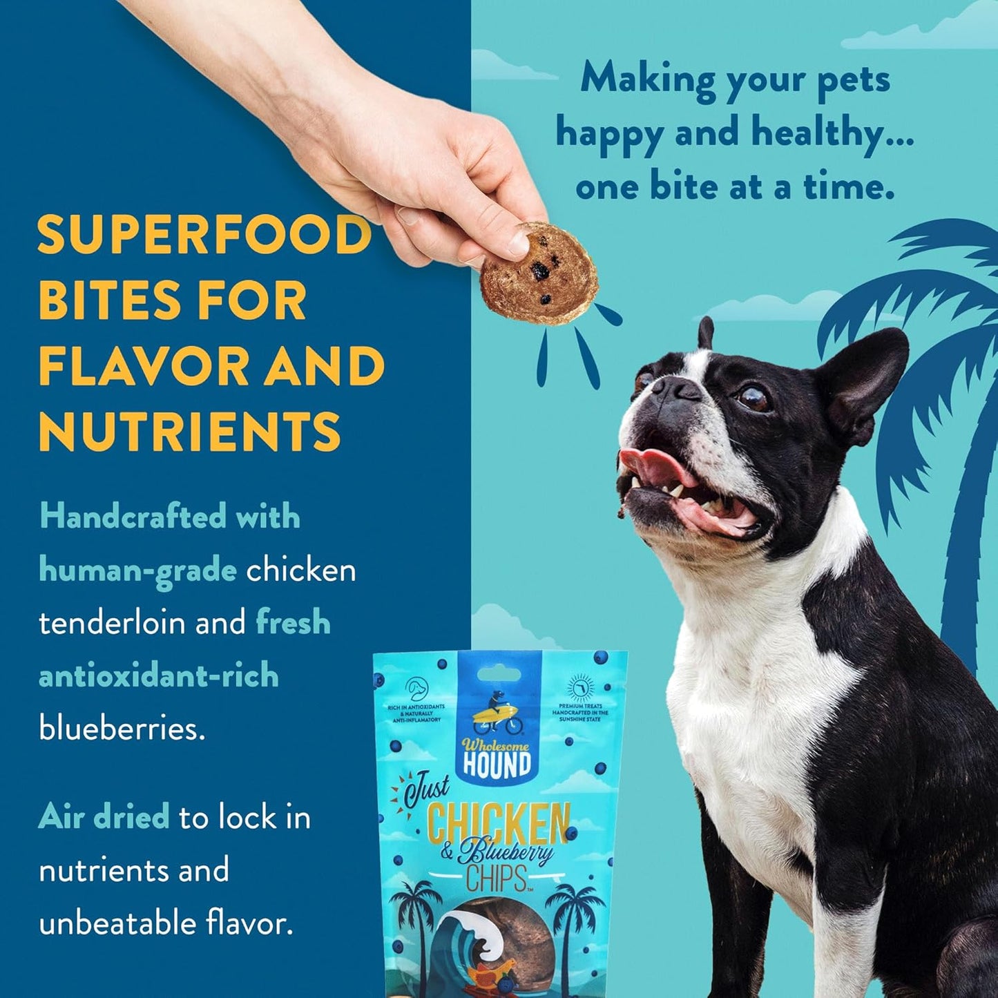 Chicken & Blueberry Chips – 2 Simple Ingredient Dog Treats, All Natural & Healthy Training Snacks for Small, Medium & Large Breeds, Puppies – High Protein, Made in USA 3oz