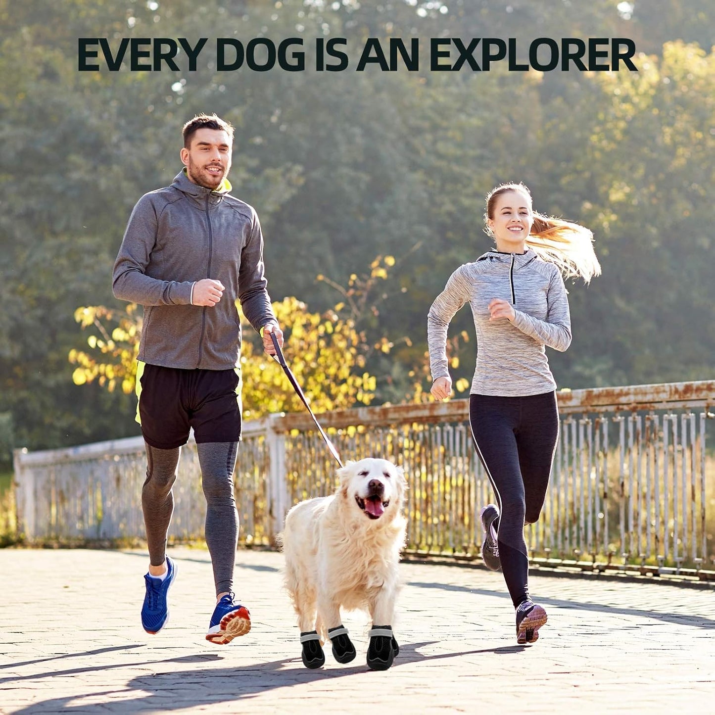 Hcpet Dog Boots for Large Dogs, Dog Shoes for Hot Pavement Winter Snow, Paw Protector Dog Booties Designed for Comfort and Breathability, Outdoor Booties for Small Medium Dogs for Hiking Black Size 6