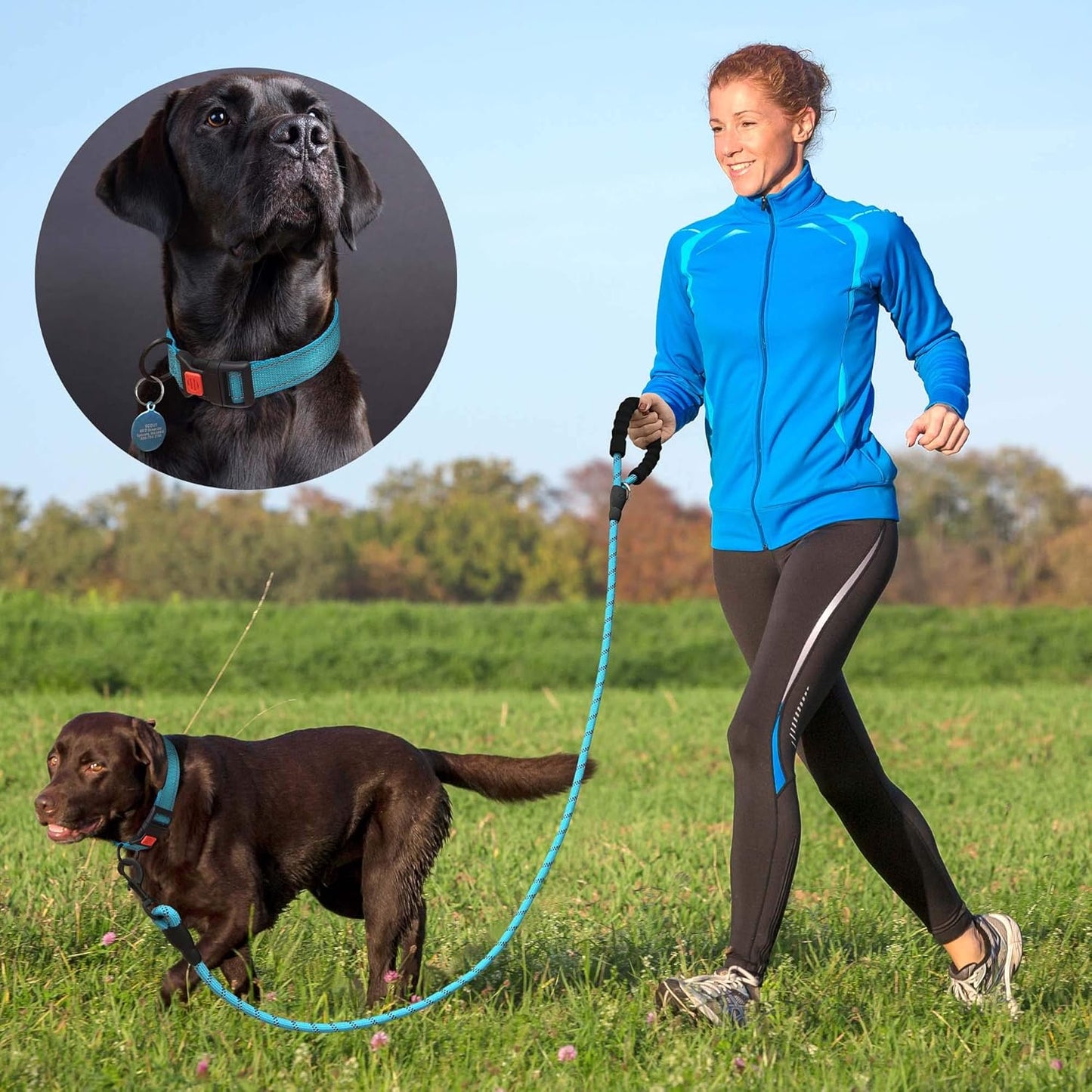 Heavy Duty Dog Leash - Comfortable Padded Handle, 5 ft Long - Dog Leashes for Small Medium Large Dogs (Leash+Collar XS Neck 10.5"-13.5", Blue)