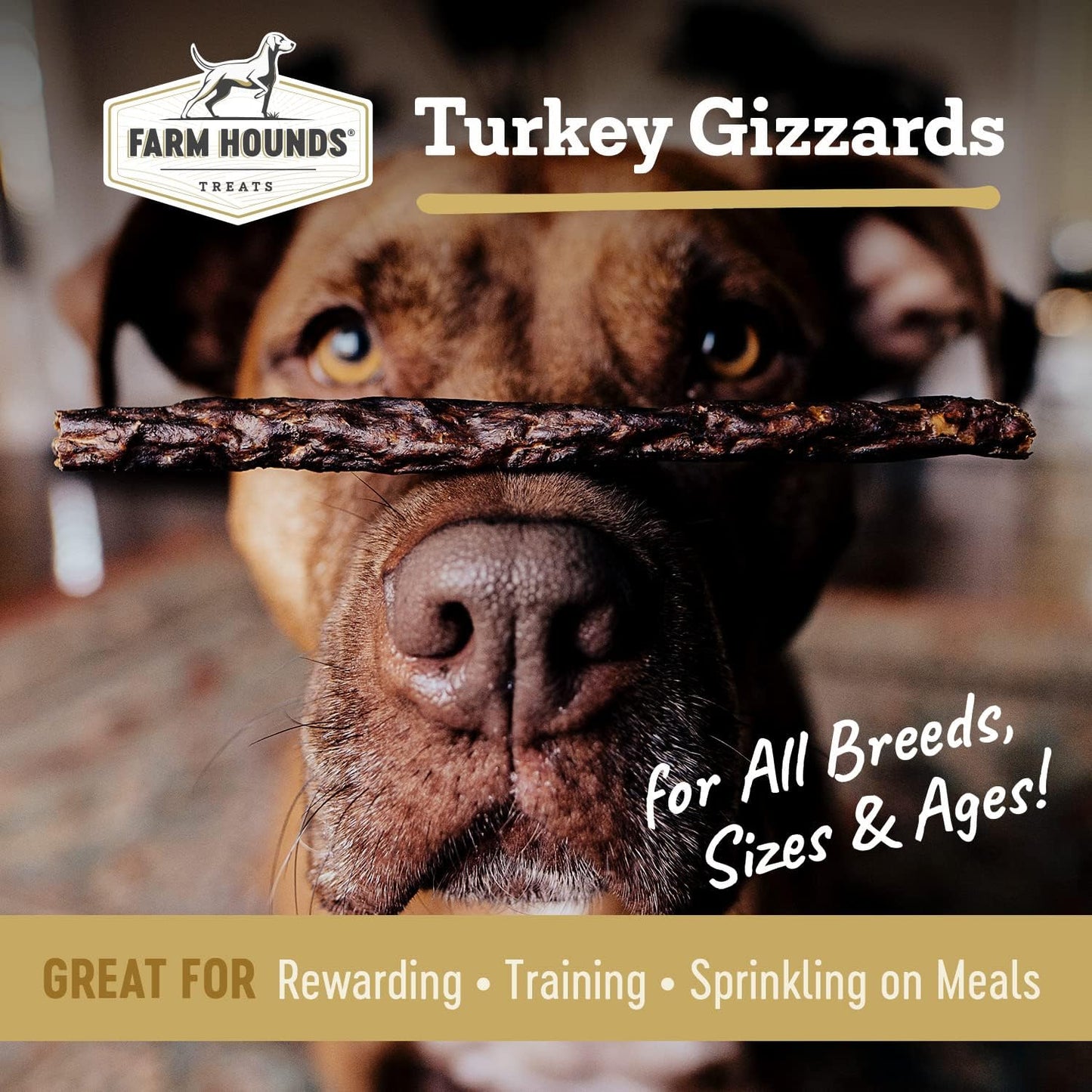 Farm Hounds - Turkey Gizzards - Premium Natural Jerky for Dogs - 100% Humanely Raised Turkey - Break-to-Size - Great for Training & Treats - No Added Fillers - Made in USA - 4oz - 1 Pack