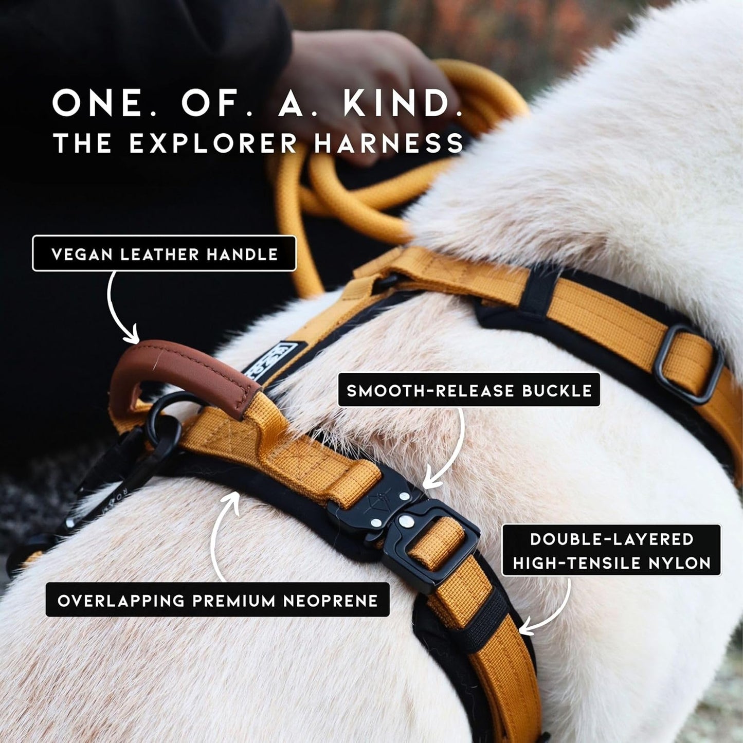 MADE TO ROAM Premium Explorer Harness - Y-Shaped Dog Harness with Adjustable Durable Nylon, Soft Padding, Metal Buckles and Leather Handle for Small, Medium, Large Dogs (Nevada Evening, Size 2)