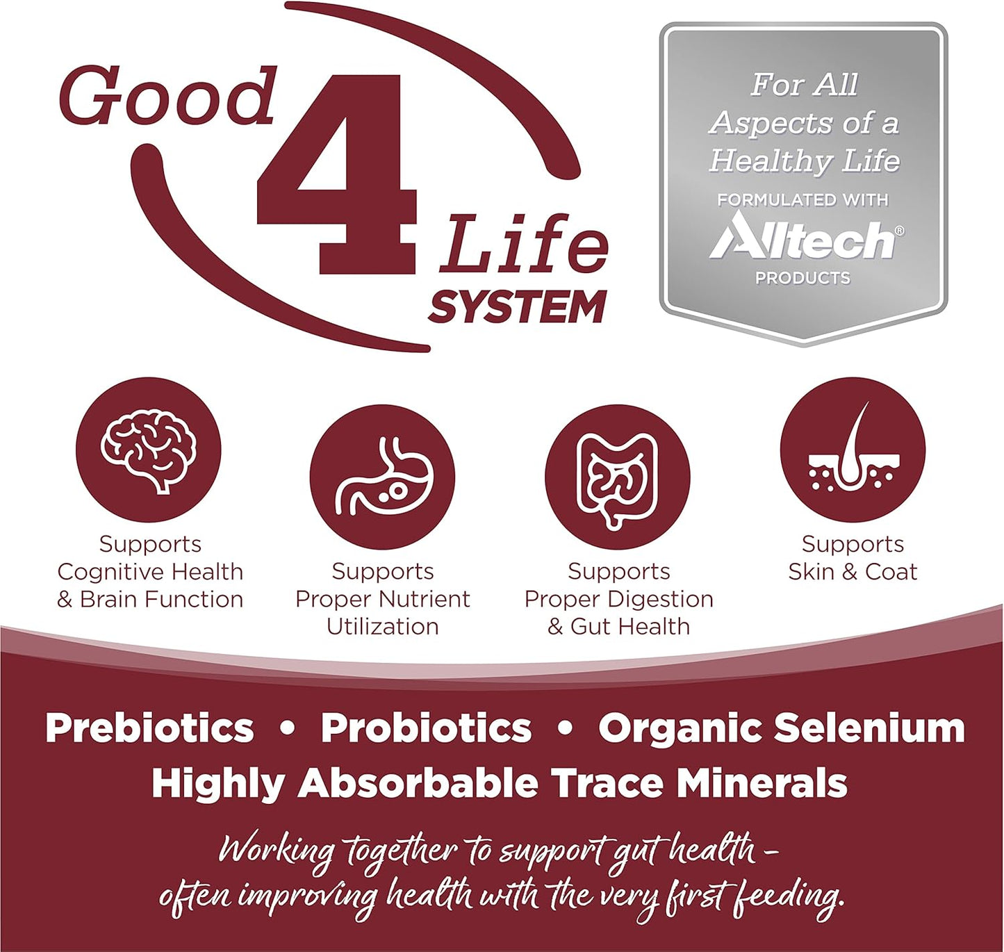 NutriSource Dog Food, Made with Beef and Brown Rice, Wholesome Grains, 5LB, Dry Dog Food