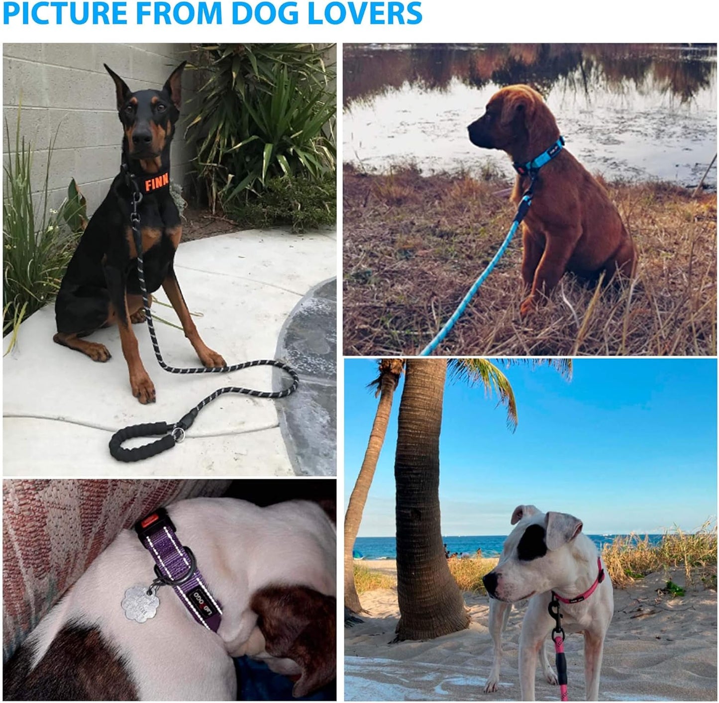 Heavy Duty Dog Leash - Comfortable Padded Handle, 5 ft Long - Dog Leashes for Small Medium Large Dogs (Leash+Collar XS Neck 10.5"-13.5", Blue)