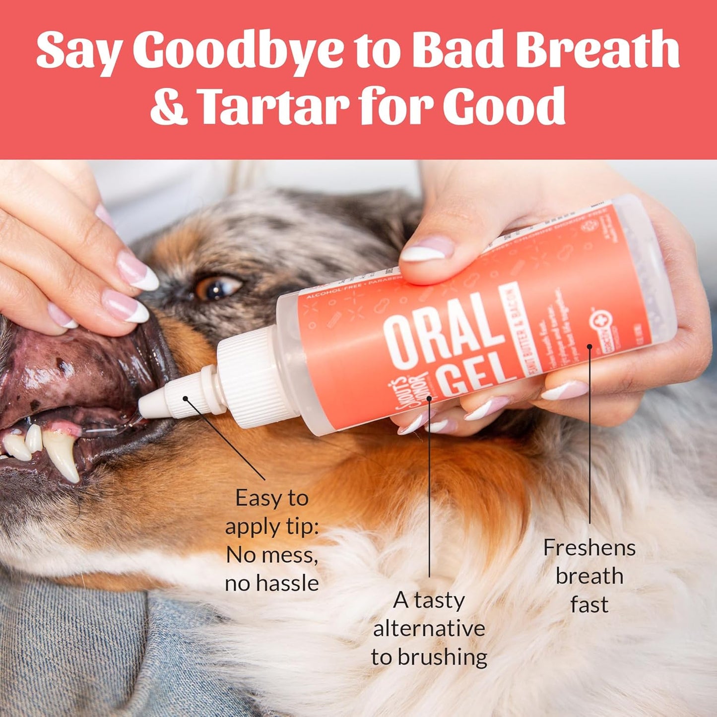 SKOUT'S HONOR Peanut Butter & Bacon Oral Gel - Fights Plaque and Tartar, Freshens Breath Fast, No Brushing Required, 4 oz