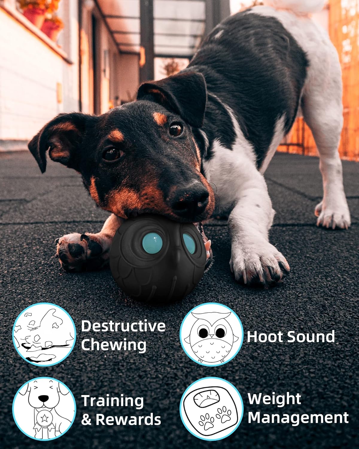 Mewlmart Giggle Ball for Dogs Owl Toys for Aggressive Chewers Punching Balls Gift for Dog Medium Large Dogs Ball Natural Rubber Cute Fun Owl Hoot (Death Knight)