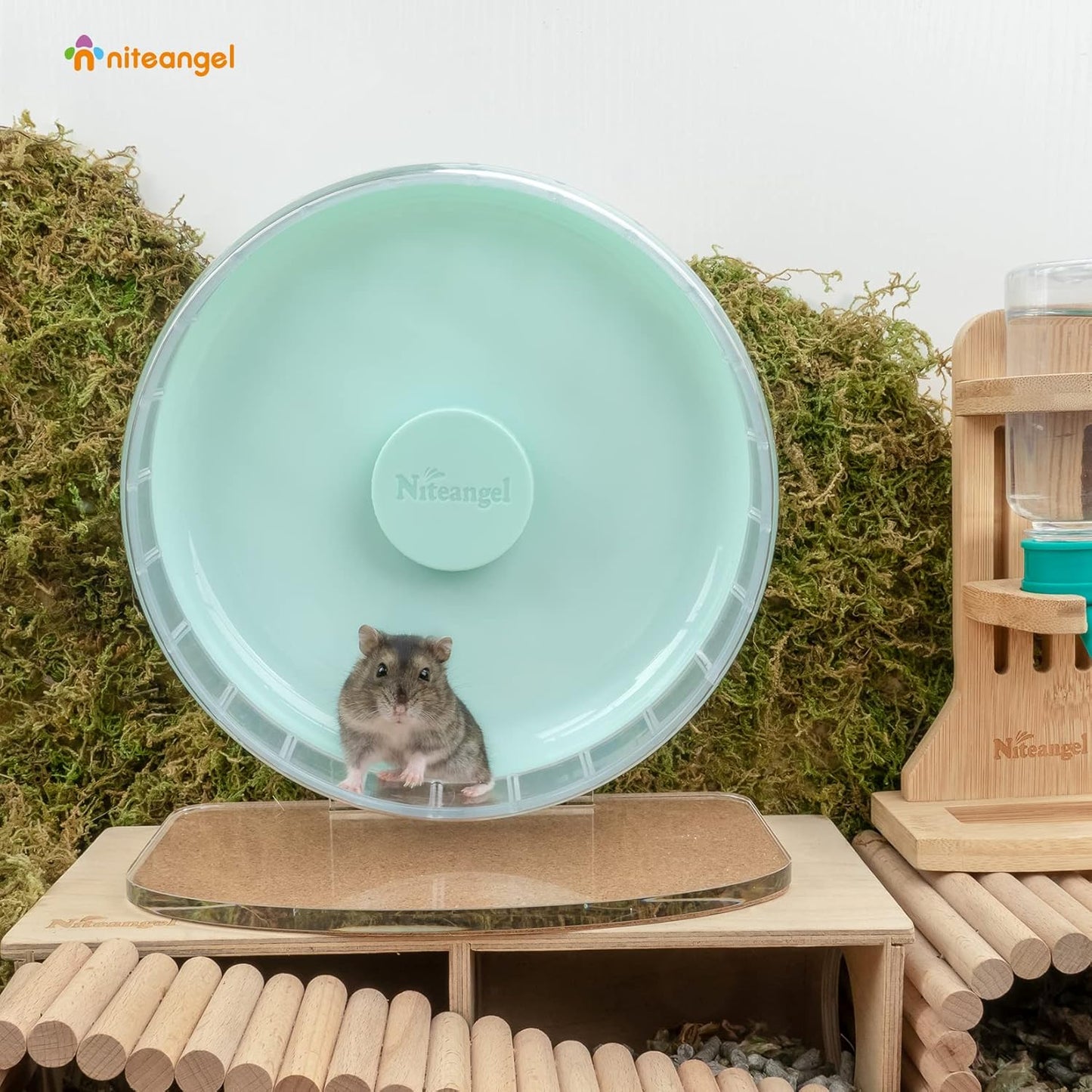 Niteangel Super-Silent Hamster Exercise Wheels: - Quiet Spinner Hamster Running Wheels with Adjustable Stand for Hamsters Gerbils Mice Or Other Small Animals (S, Mint Green)