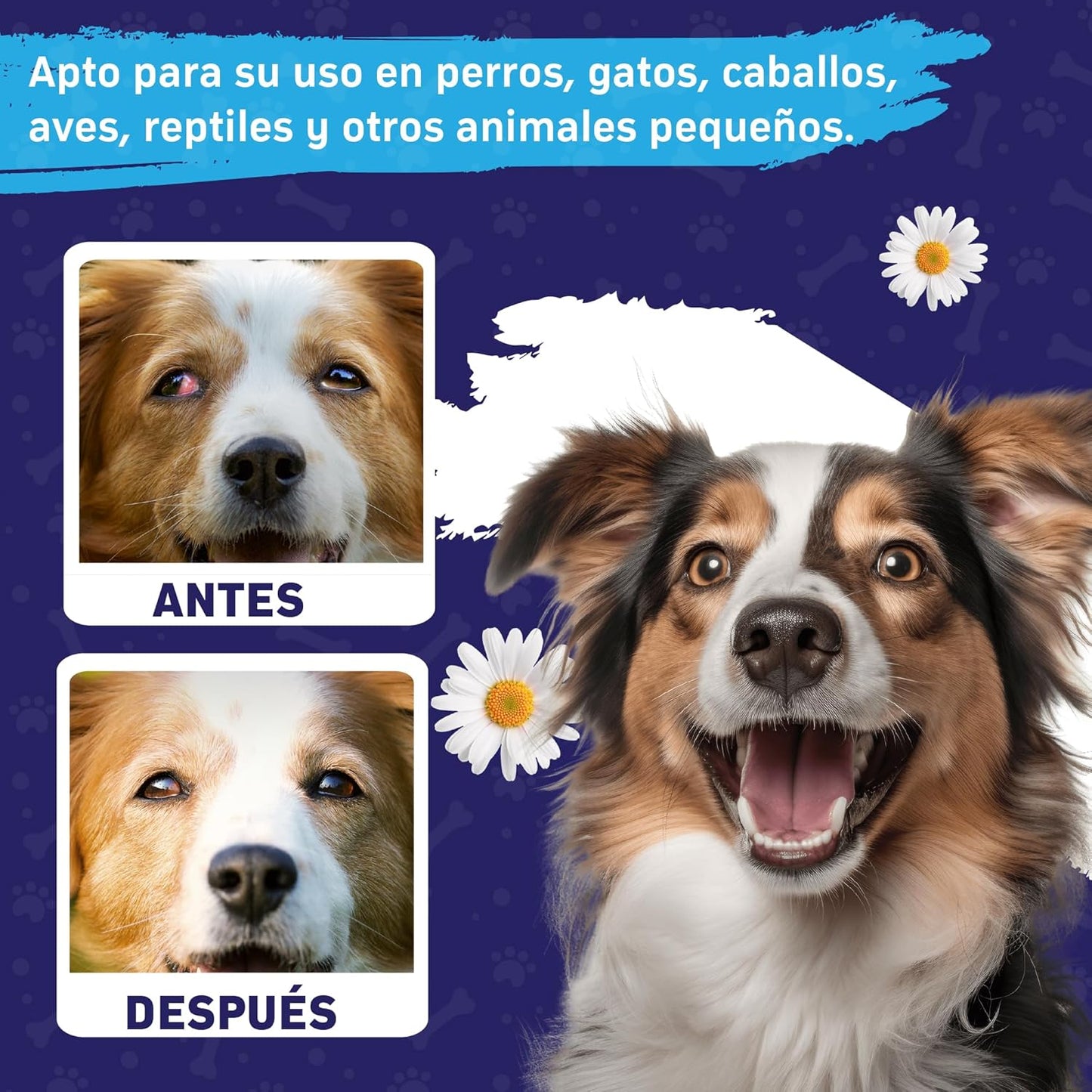 Dog Eye Drops 200ml,All Natural Ingredients Eye Wash for Dogs and Cats, Cleanses Tear Stains,Goop Mucus, Improves Allergy Symptoms and Dry Eyes