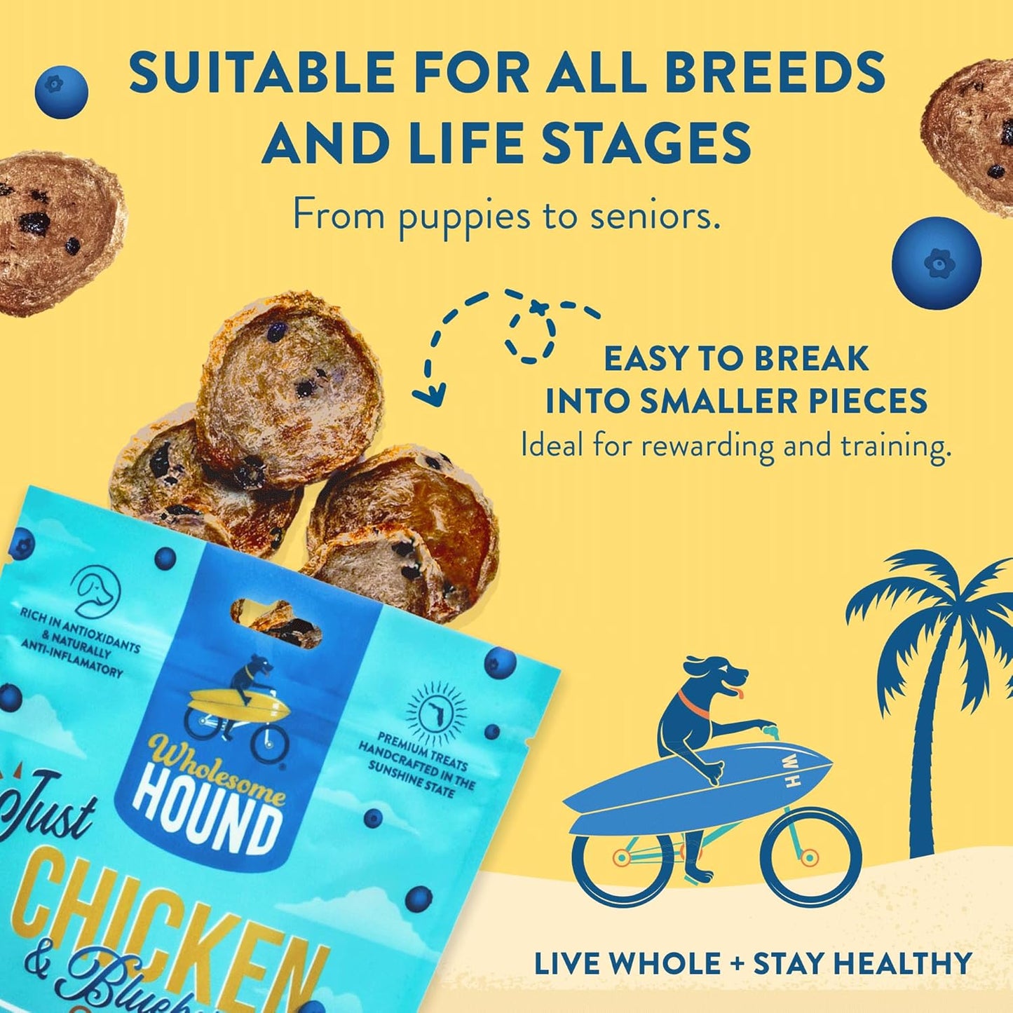 Chicken & Blueberry Chips – 2 Simple Ingredient Dog Treats, All Natural & Healthy Training Snacks for Small, Medium & Large Breeds, Puppies – High Protein, Made in USA 3oz
