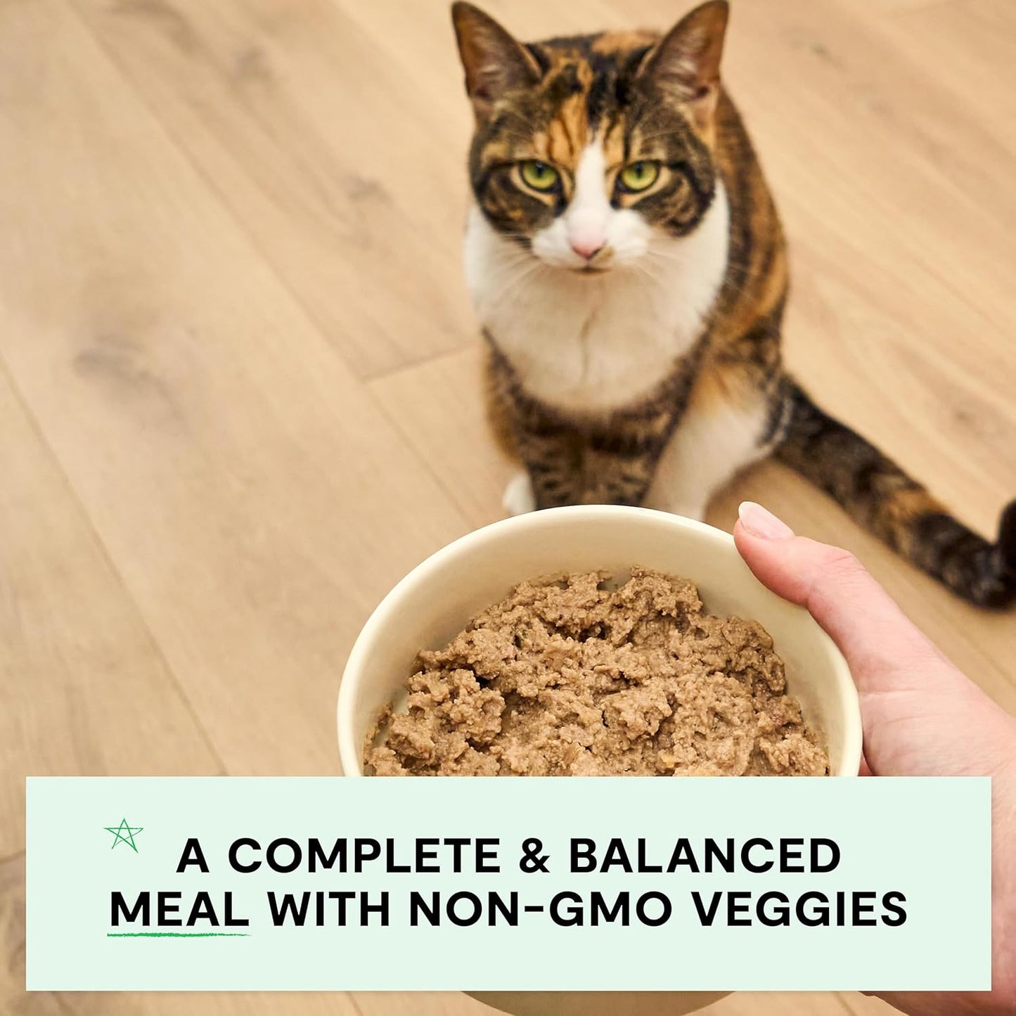 Open Farm Canned Cat Food, Paté for Complete & Balanced Nutrition, Grain-Free and Legume-Free Wet Cat Food, Chicken & Beef Recipe, 5.3oz Cans (Case of 12)