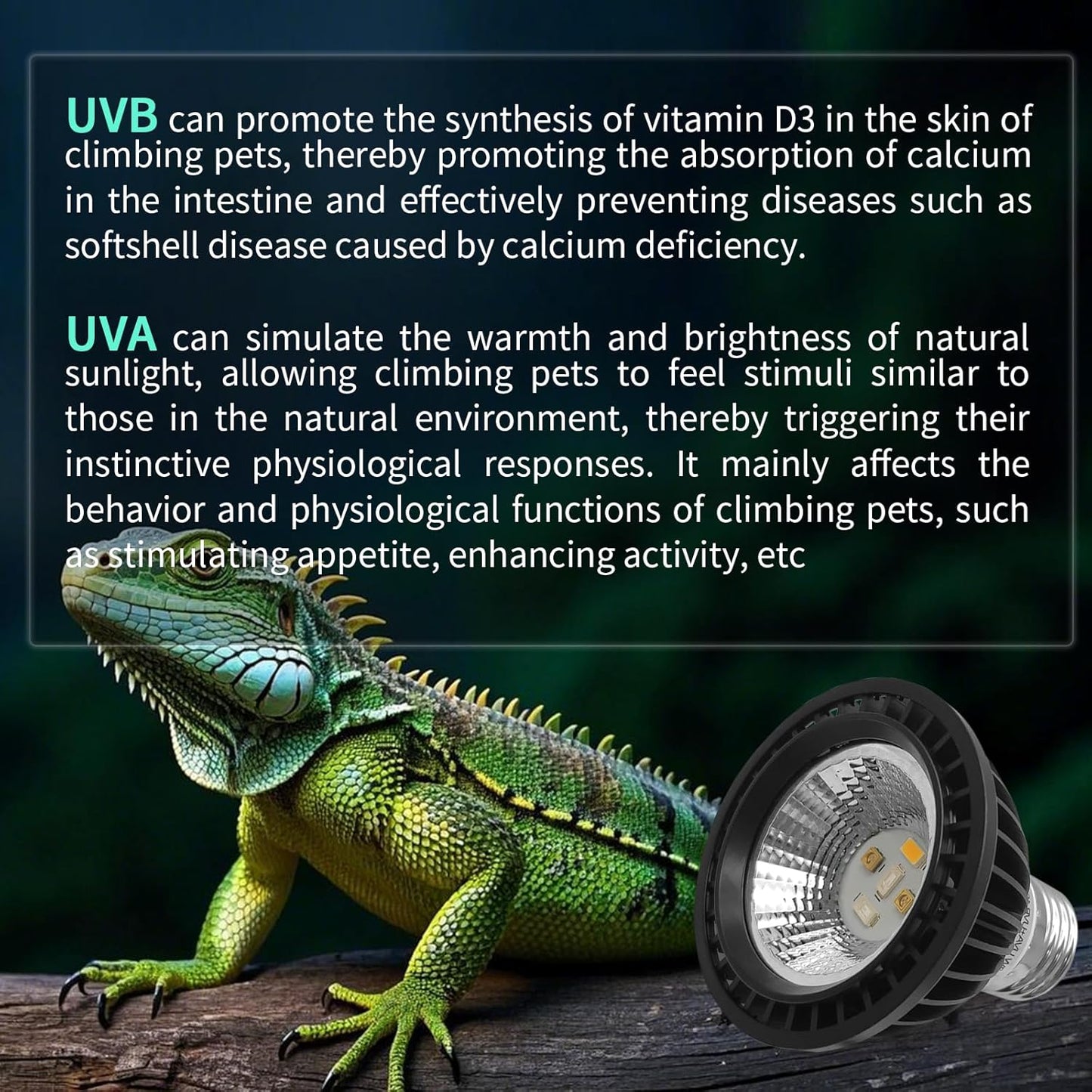 UVB Light Bulb for Reptiles, LED 3W 5.0 UVA UVB Heat Lamp Bulbs Ideal for Rainforest Reptiles, Bearded Dragons Lizard Turtle Tortoise Iguanas Chameleons Snake (1 Pack)