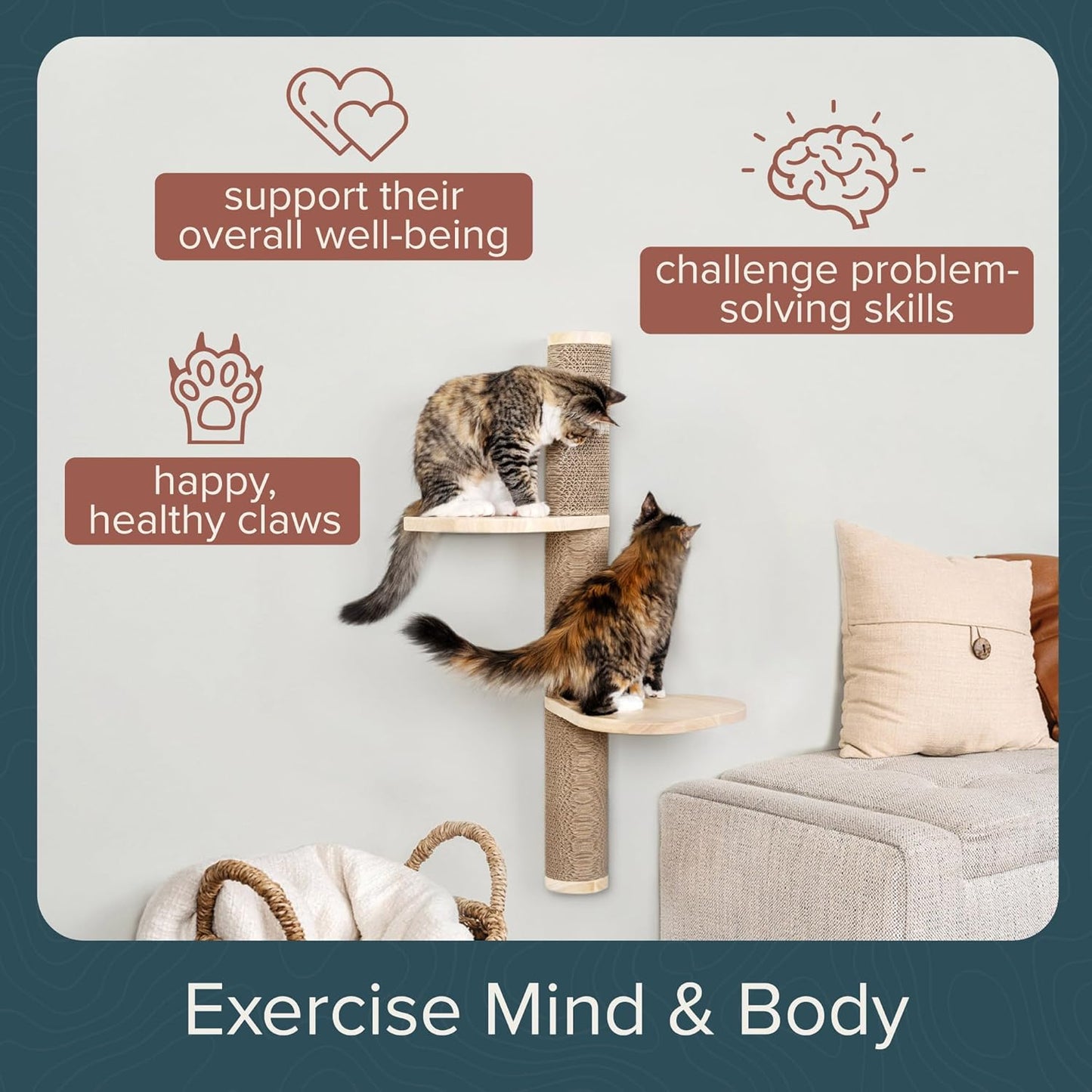 Cat Climbing Wall System – Modern Floating Shelves & Perches for Cats - Sunrise Steps | Ascentials by FurHaven