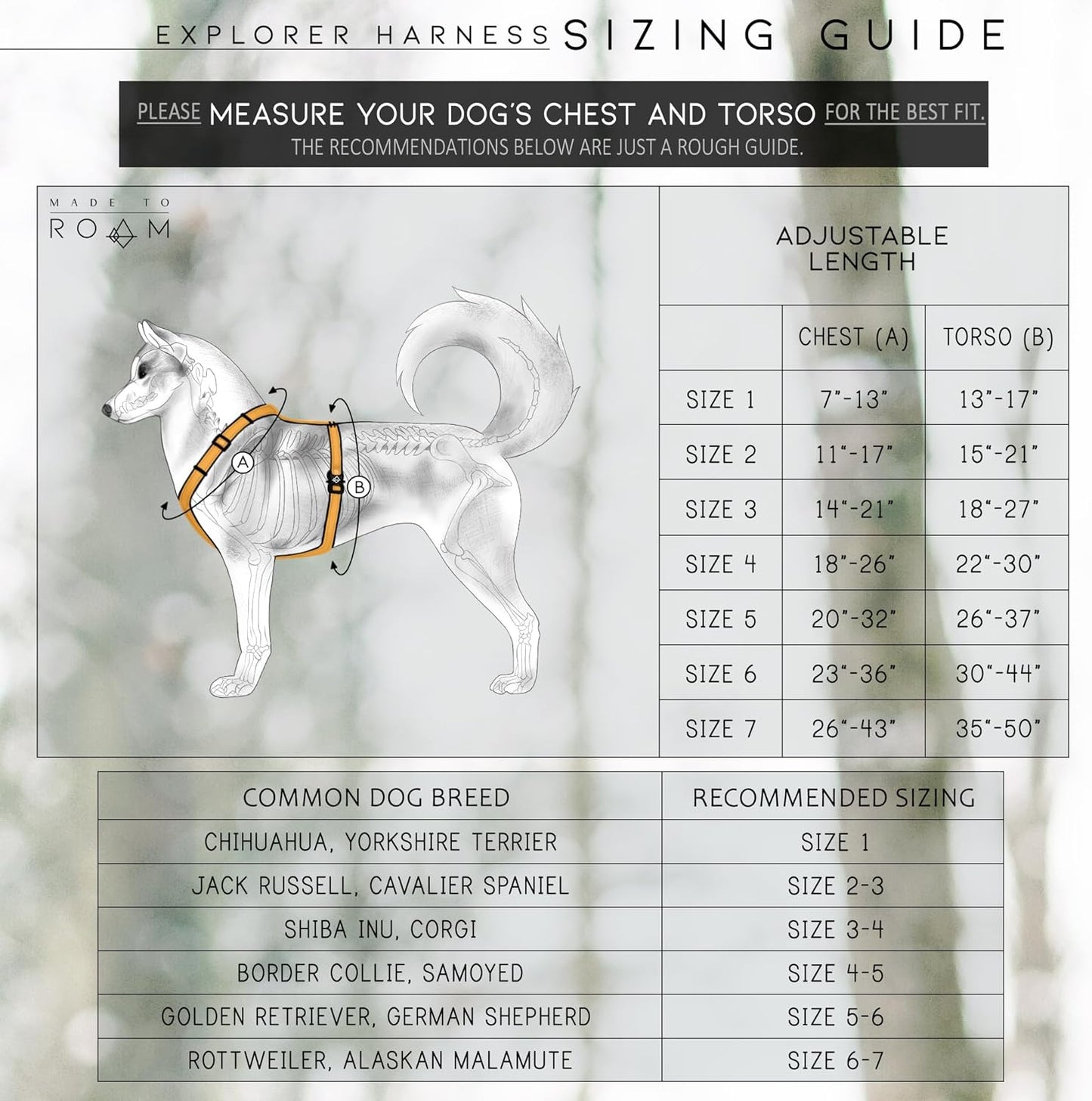 MADE TO ROAM Premium Explorer Harness - Y-Shaped Dog Harness with Adjustable Durable Nylon, Soft Padding, Metal Buckles and Leather Handle for Small, Medium, Large Dogs (Carolina Blooms, Size 6)