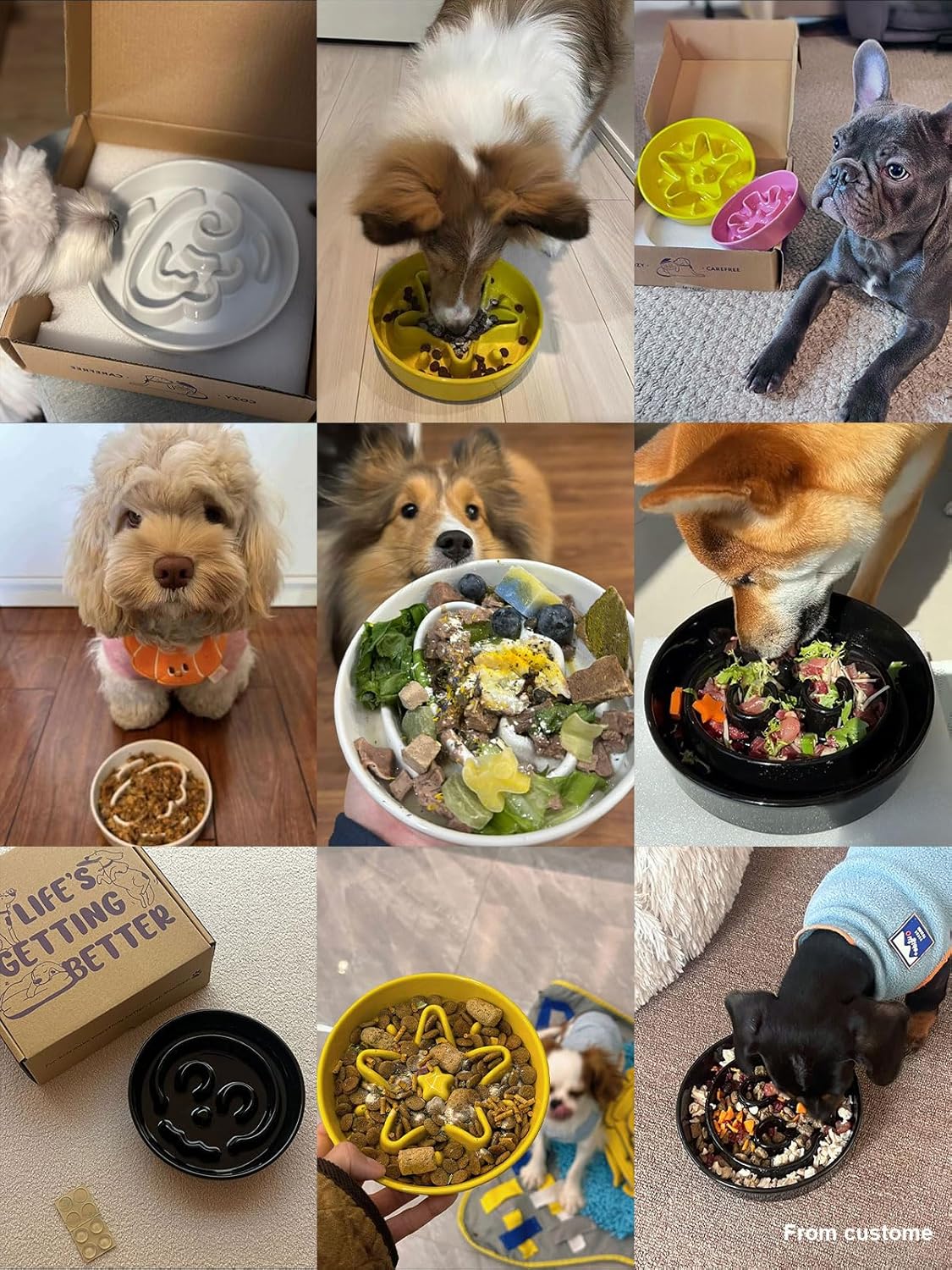 LE TAUCI Dog Bowls Slow Feeder Ceramic, 1.5 Cups Slow Feeding Dog Bowl Small Medium Breed, Puppy Bowl for Fast Eaters,Skull Black