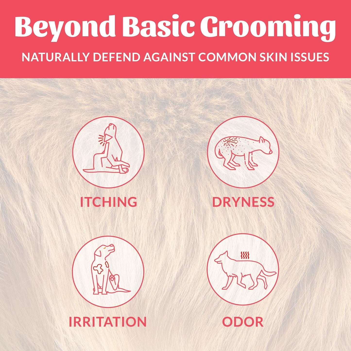 SKOUT'S HONOR Probiotic Pet Deodorizer Spray- Hydrating Daily-Use with Avocado Oil & Omega-3s, Microbiome Friendly Certiified, Paraben & Sulfate-Free, 97% Natural, 8oz, Sunkissed Coconut, 2-Pack