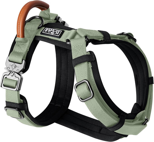 MADE TO ROAM Premium Explorer Harness - Y-Shaped Dog Harness with Adjustable Durable Nylon, Soft Padding, Metal Buckles and Leather Handle for Small, Medium, Large Dogs (Washington Rain, Size 7)
