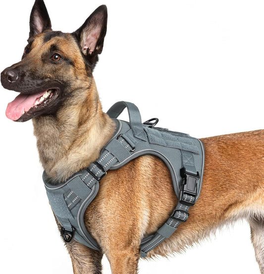 rabbitgoo Dog Harness for Large Dogs No Pull, Tactical Service Pet Vest with Molle and Control Handle, Adjustable and Reflective Military Harness for Easy Walking and Training, Grey, L