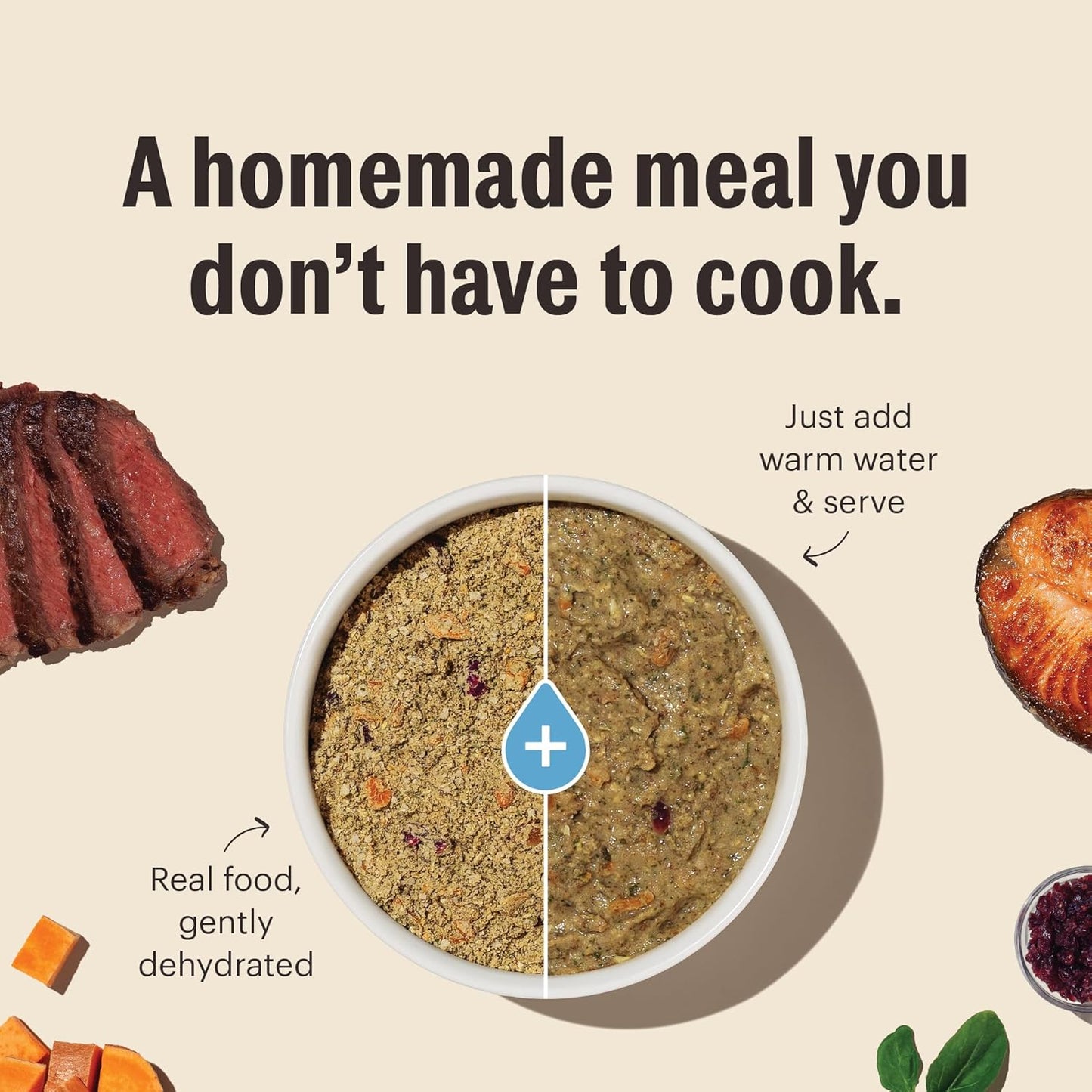 The Honest Kitchen Wholemade™ Grain Free Chicken Dog Food, 4 lb Box