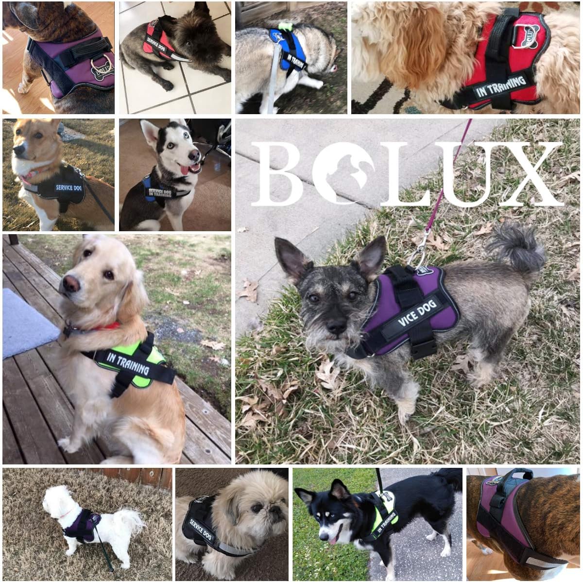 Bolux Dog Harness, No-Pull Reflective Dog Vest, Breathable Adjustable Pet Harness with Handle for Outdoor Walking - No More Pulling, Tugging or Choking (Army Yellow, M)