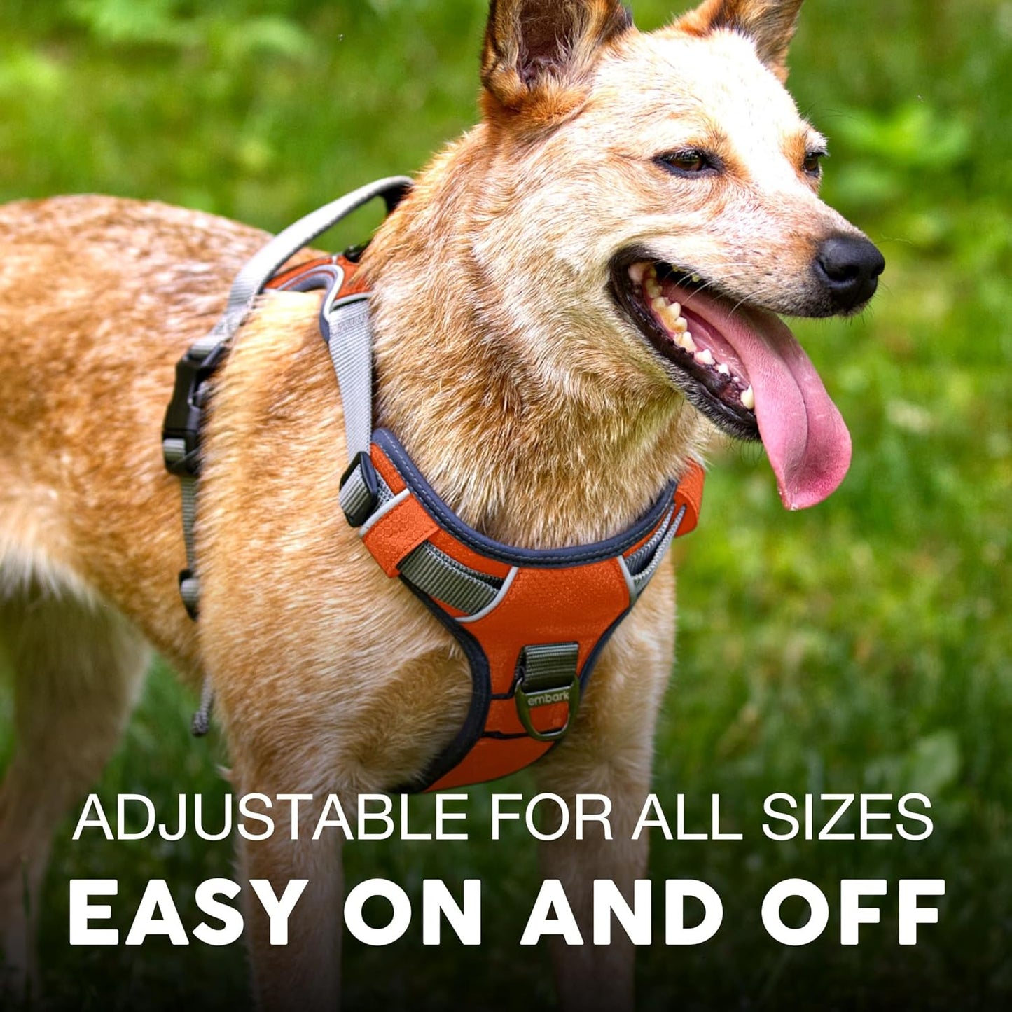 Embark Adventure Dog Harness, Reflective Trim No Pull Dog Harness Medium Sized Dogs - Military Grade Nylon, Front Clip with Gel Lined Handle.